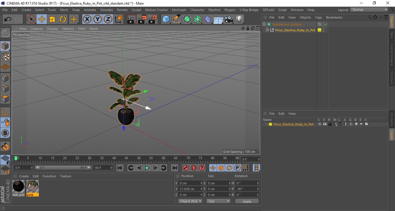 3D Ficus Elastica Ruby in Pot