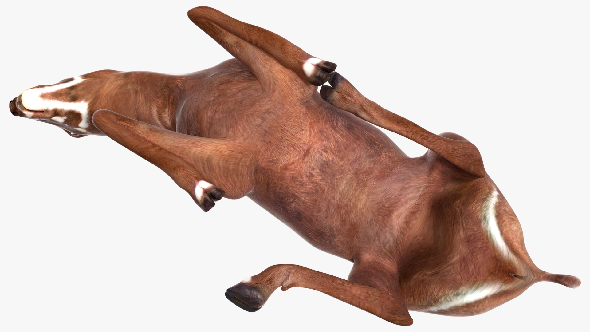 3D model Saola Reclining