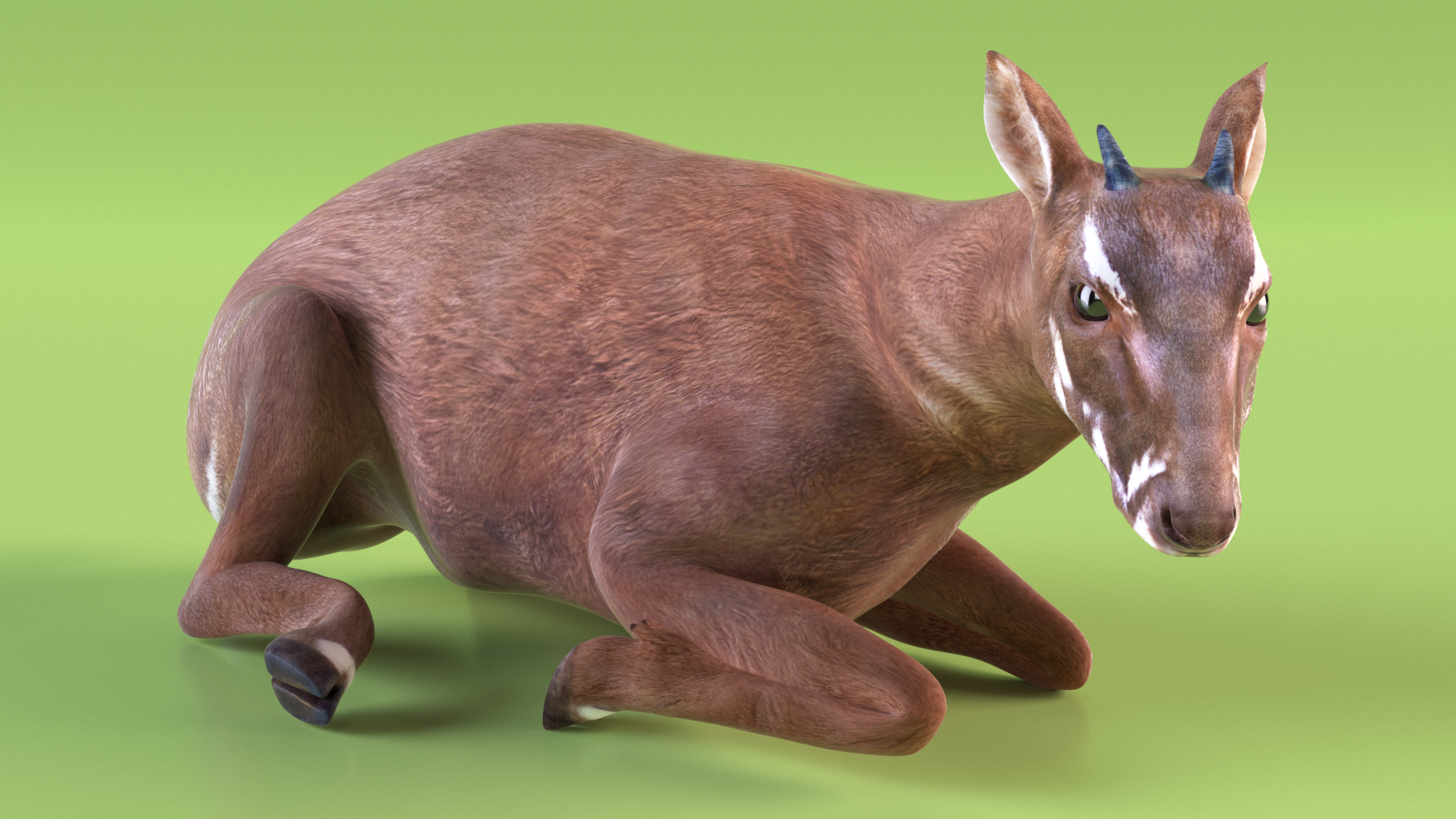 3D model Saola Reclining