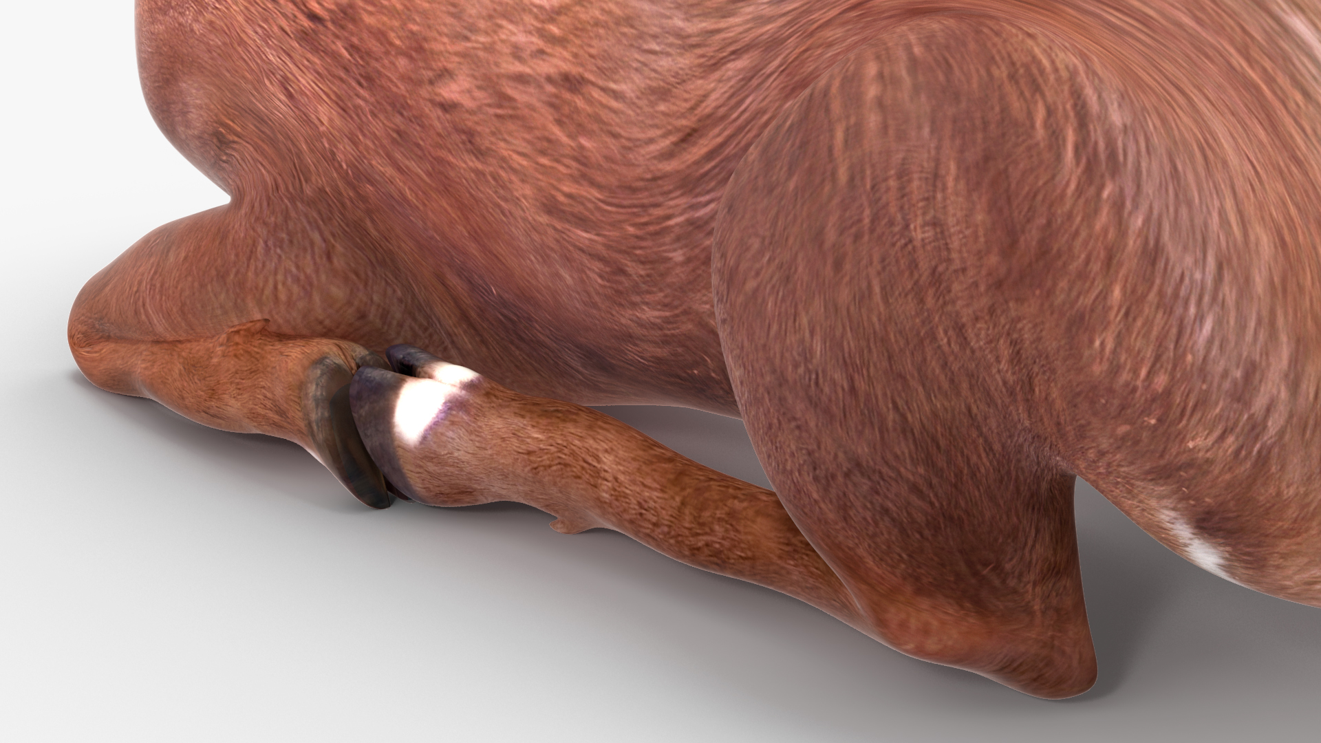 3D model Saola Reclining