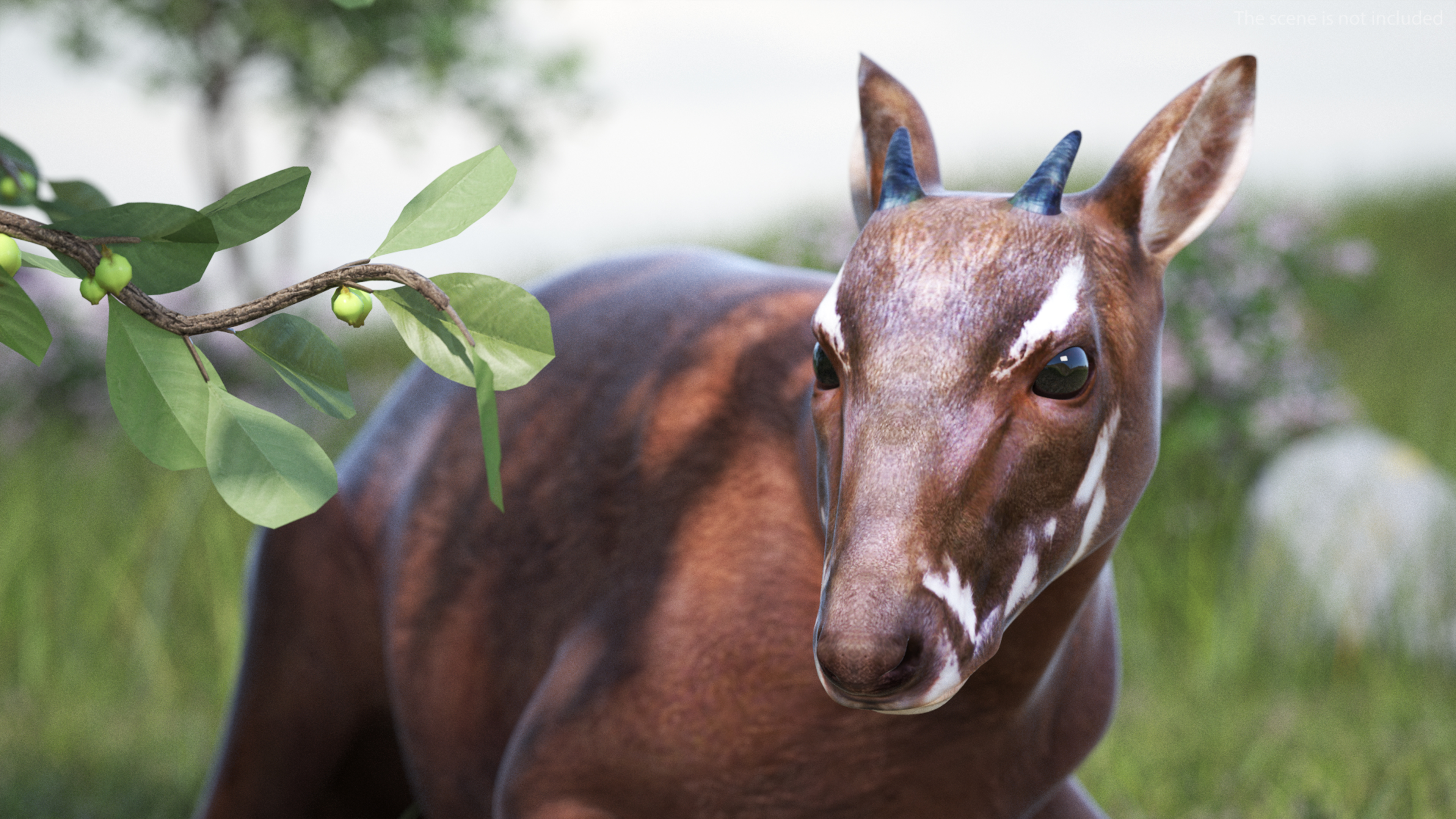 3D model Saola Reclining