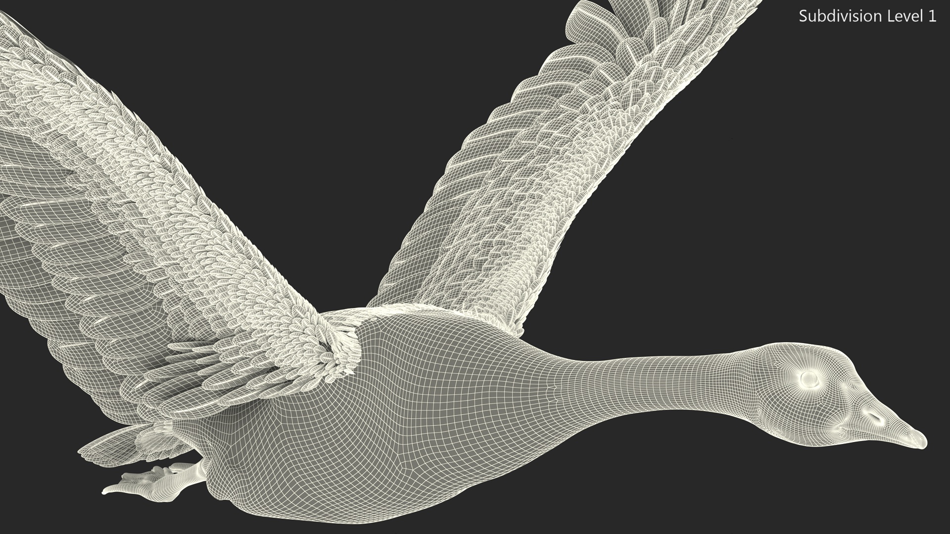 North American Goose Flying Pose 3D