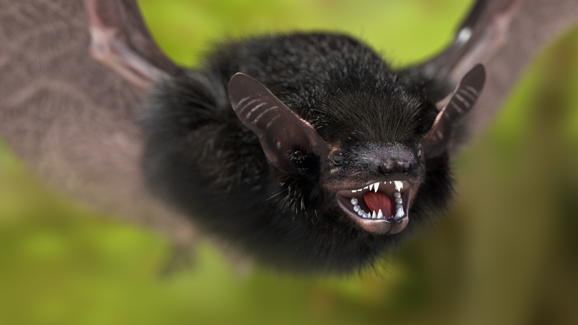 3D model Flying Black Bat Fur