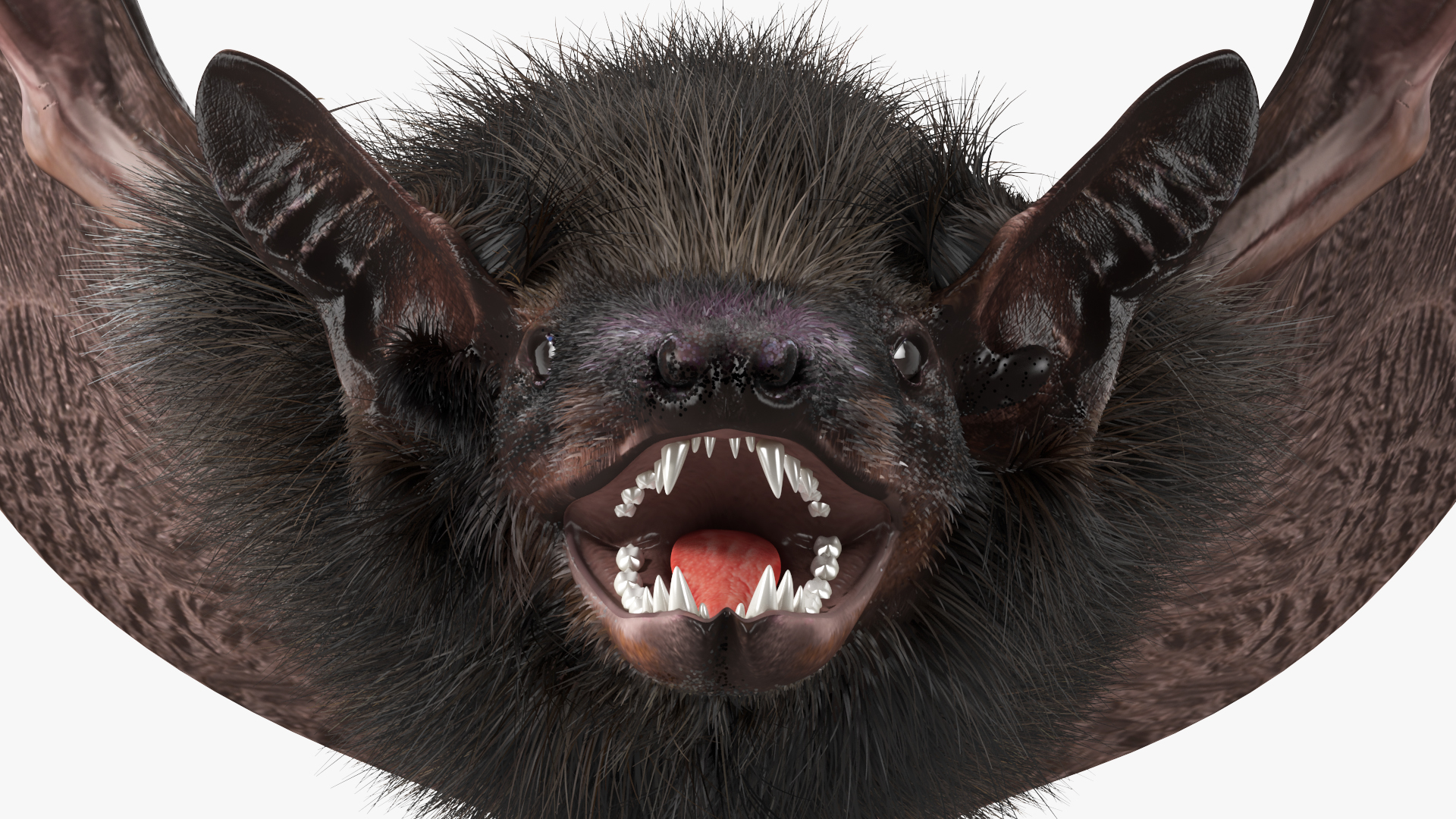 3D model Flying Black Bat Fur