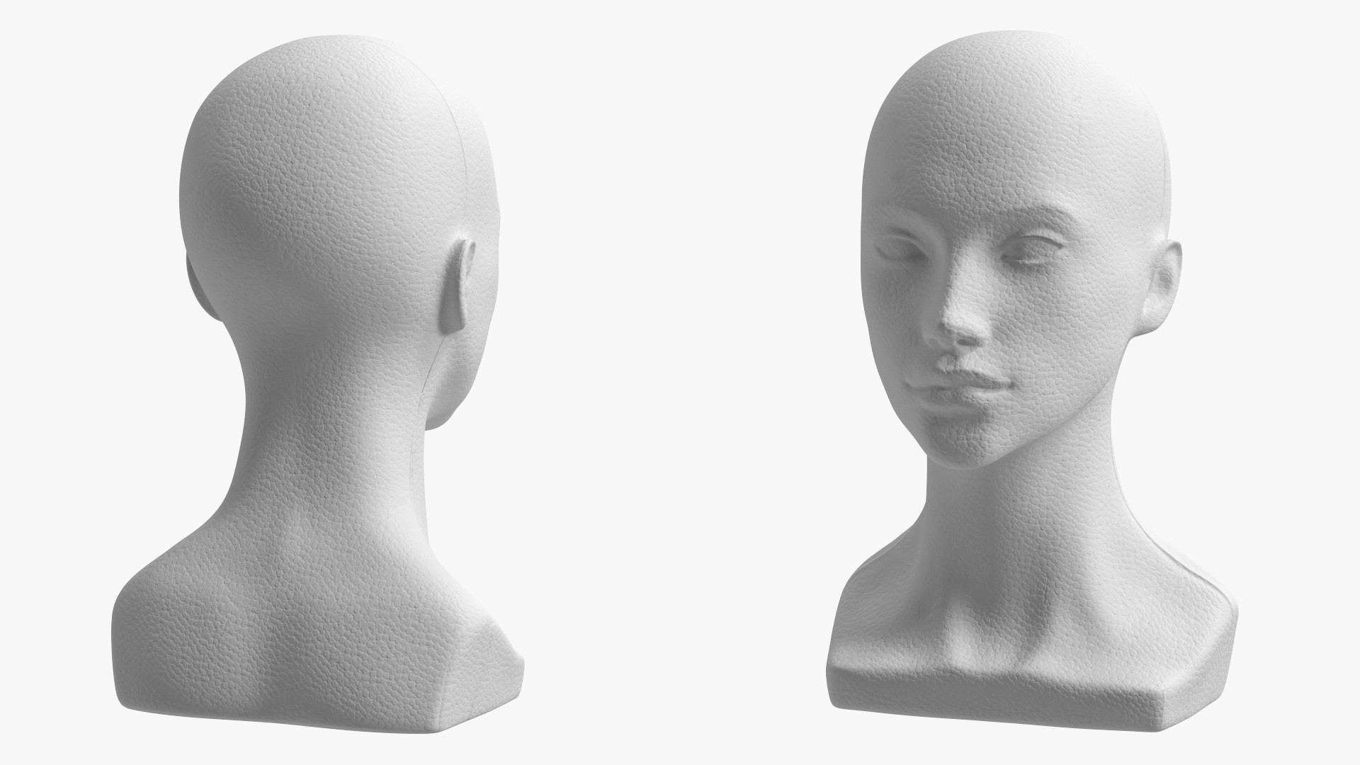 3D Styrofoam Woman Mannequin Head White