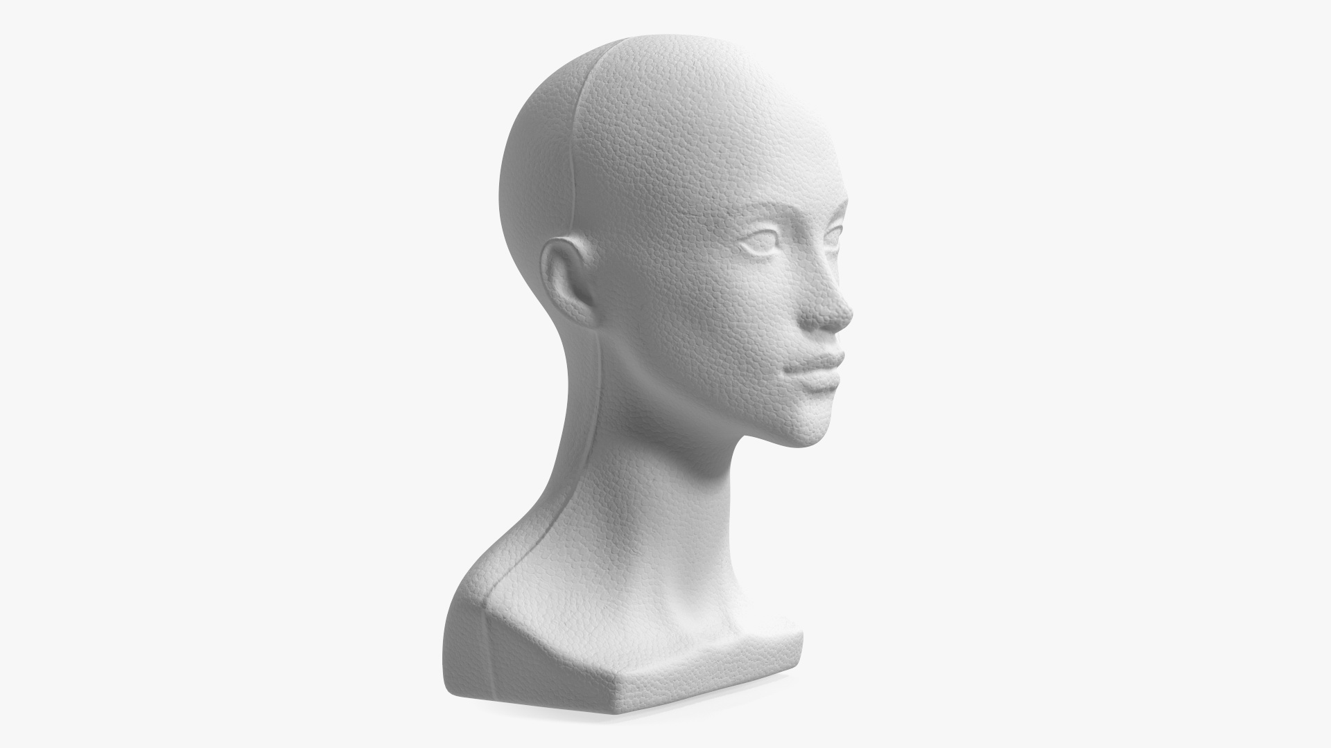 3D Styrofoam Woman Mannequin Head White