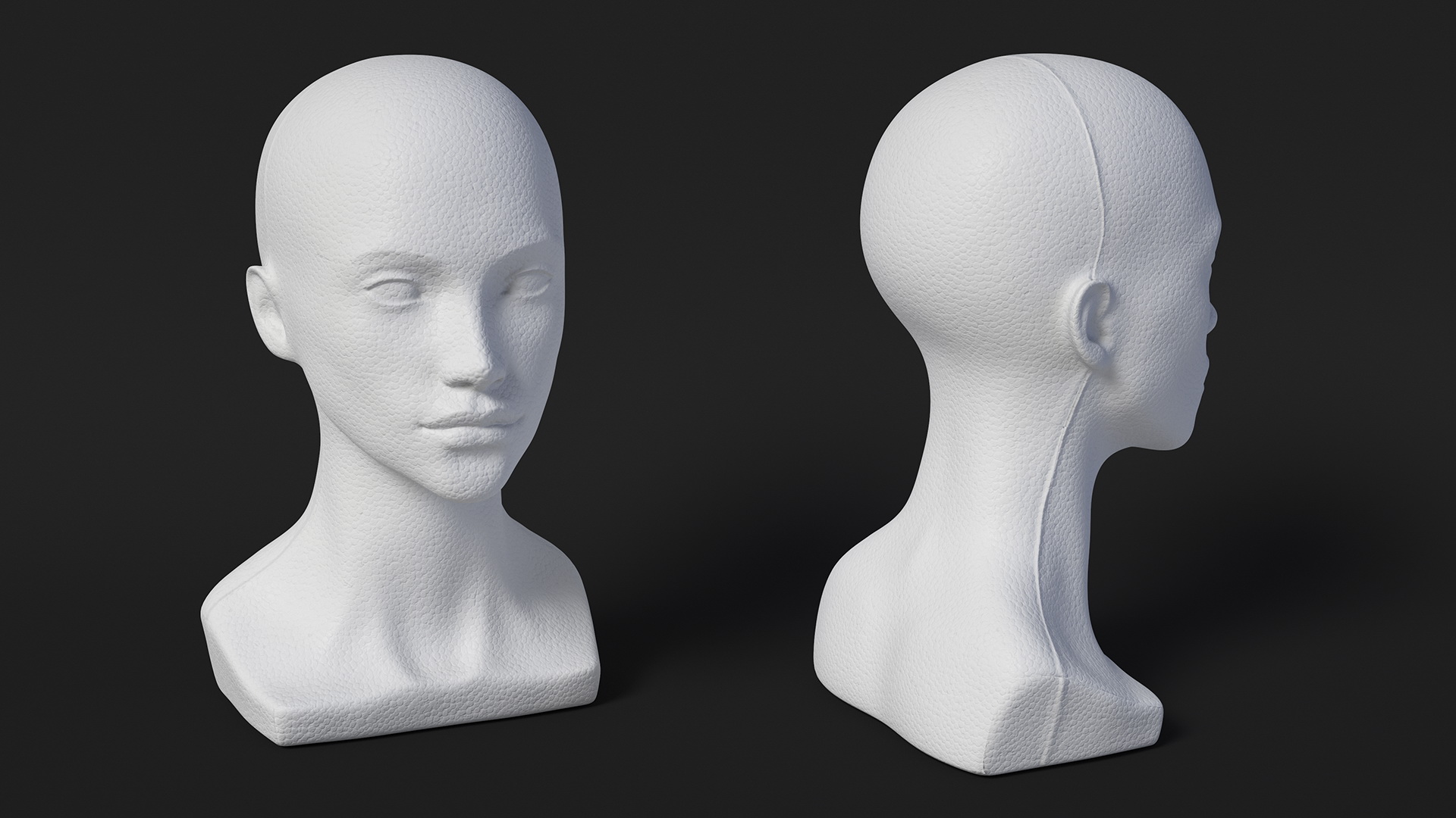 3D Styrofoam Woman Mannequin Head White