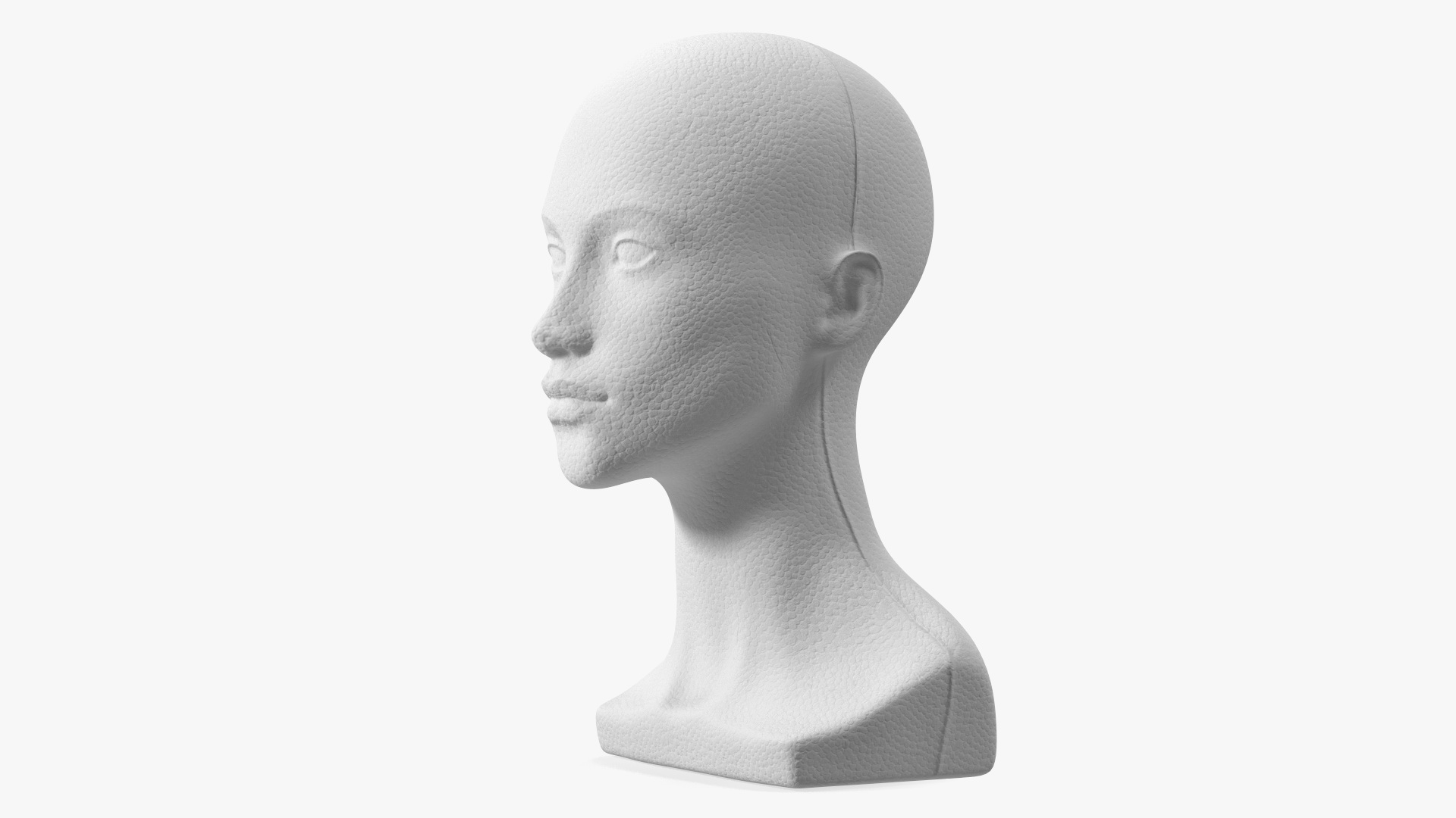 3D Styrofoam Woman Mannequin Head White