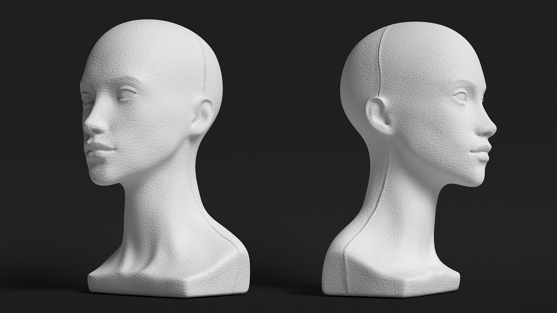 3D Styrofoam Woman Mannequin Head White