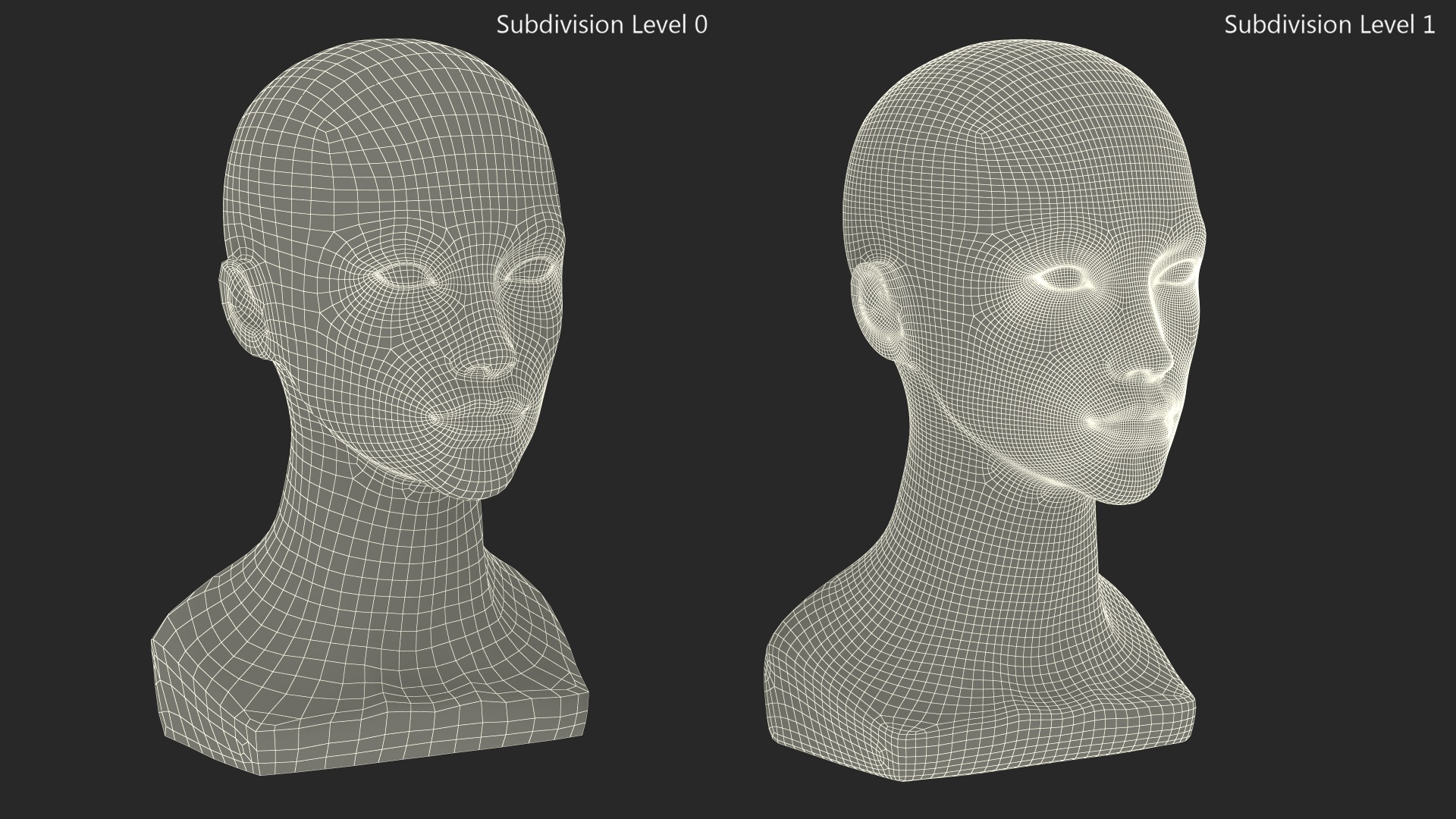 3D Styrofoam Woman Mannequin Head White