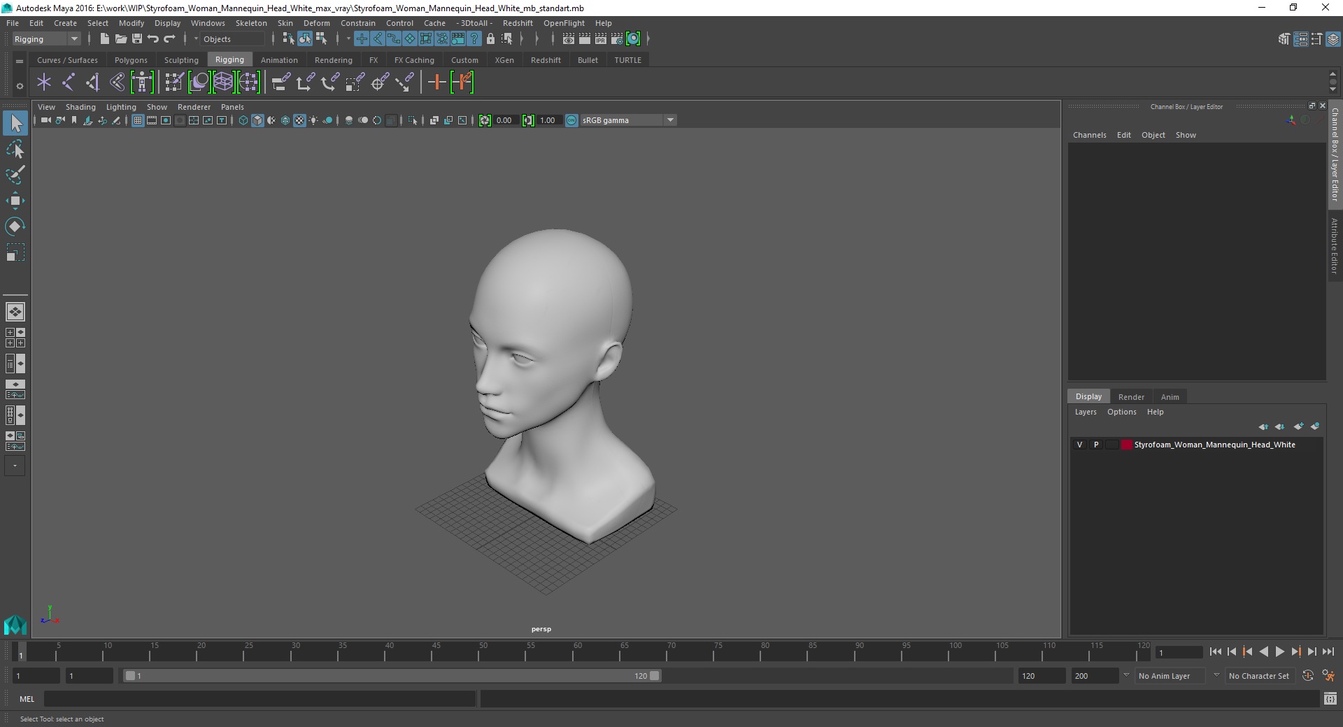 3D Styrofoam Woman Mannequin Head White