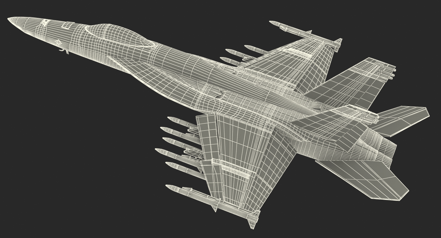 3D Fighter FA 18EF Super Hornet model