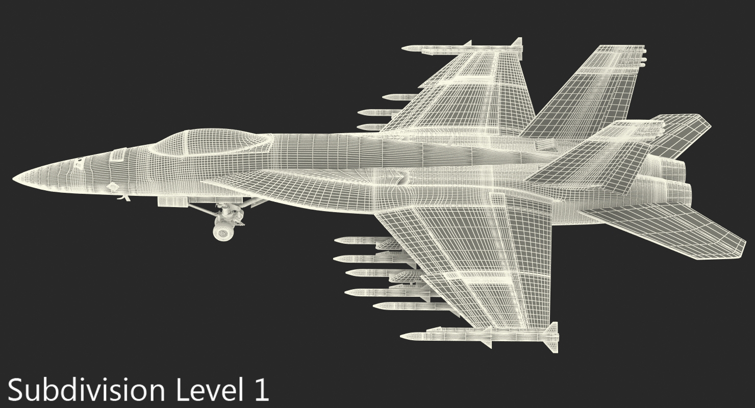 3D Fighter FA 18EF Super Hornet model