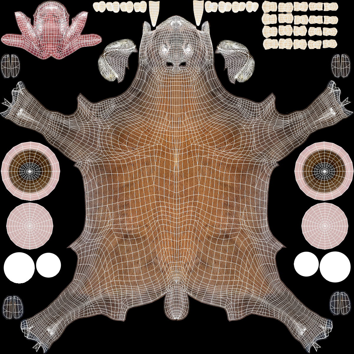 Moschus Moschiferus 3D model