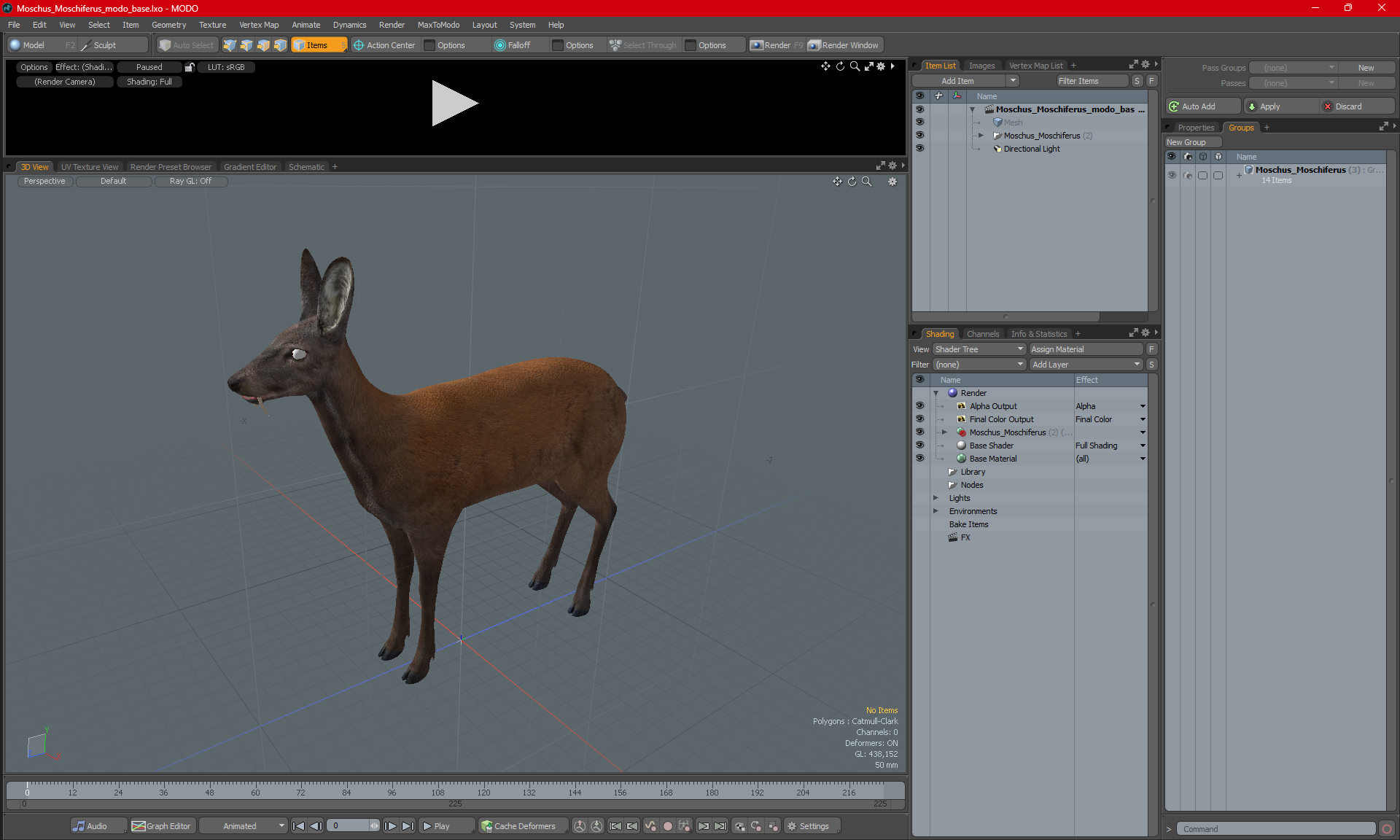 Moschus Moschiferus 3D model