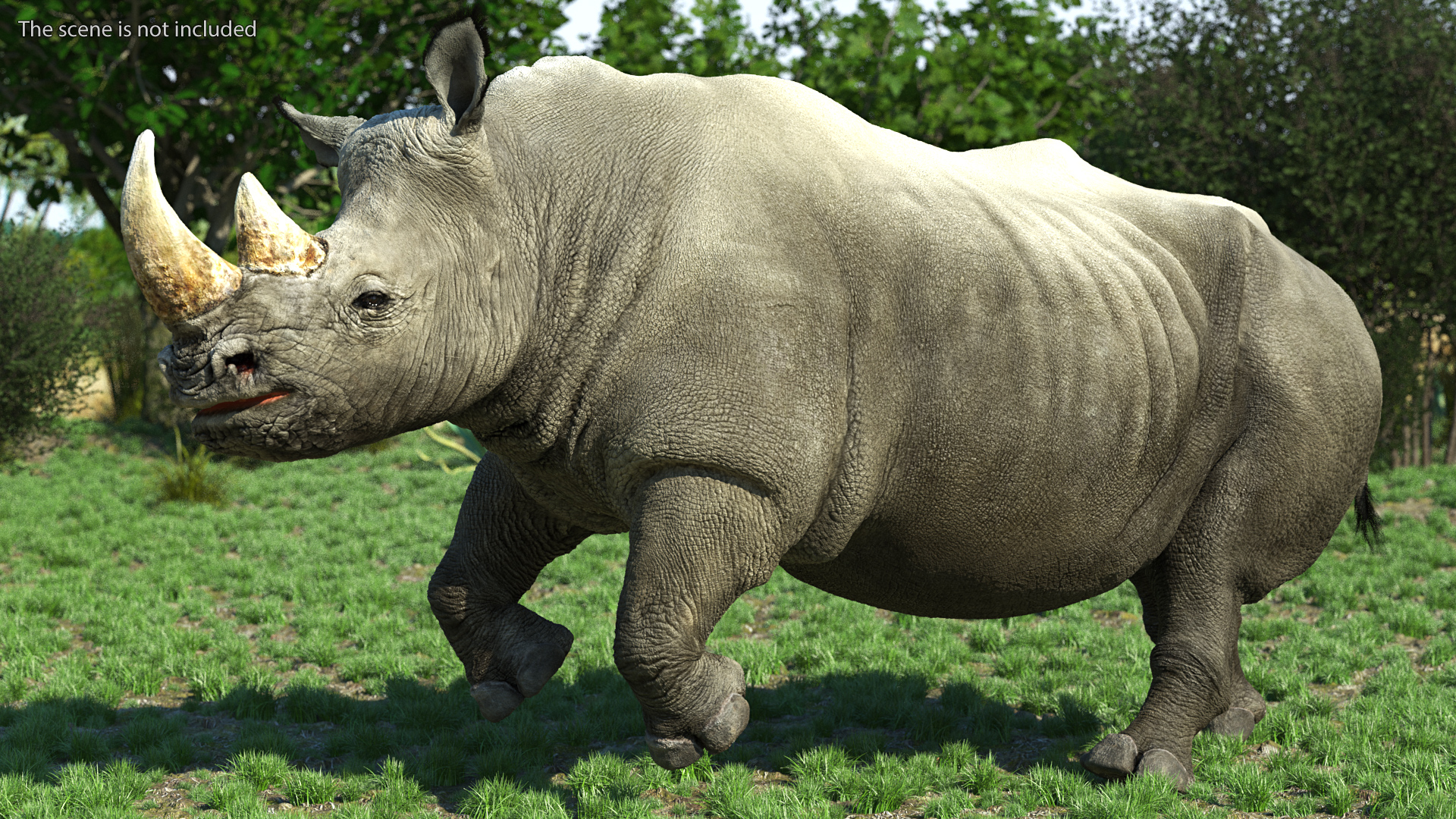 Adult Rhino Fur Rigged 3D