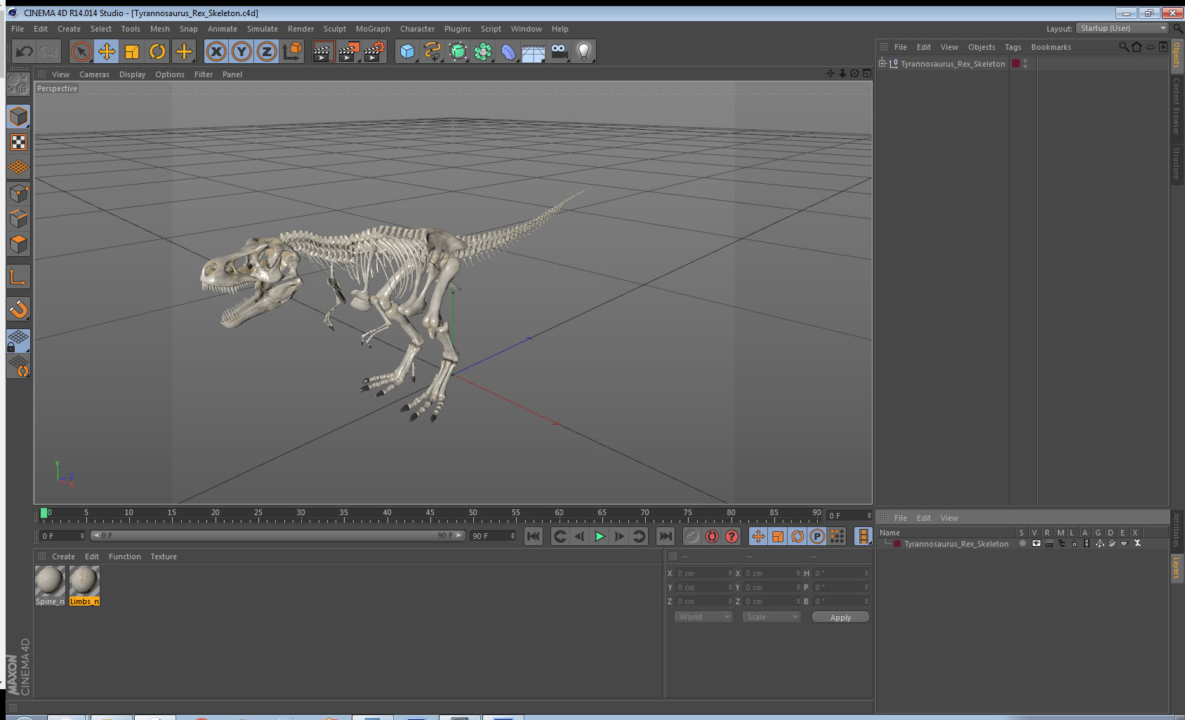 3D Tyrannosaurus Rex Skeleton