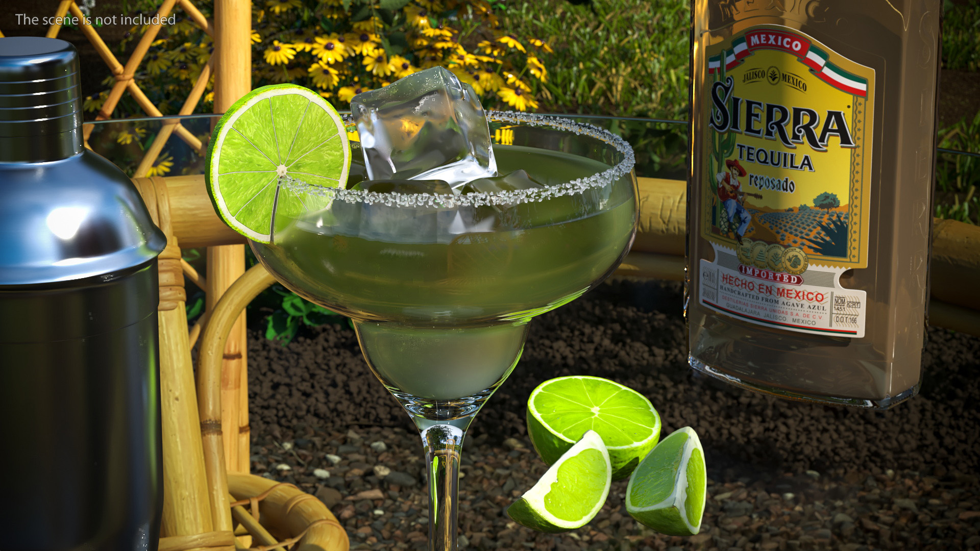 3D Margarita Cocktail Glass with Bottle