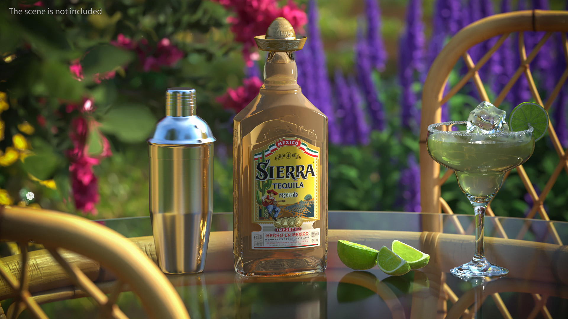 3D Margarita Cocktail Glass with Bottle