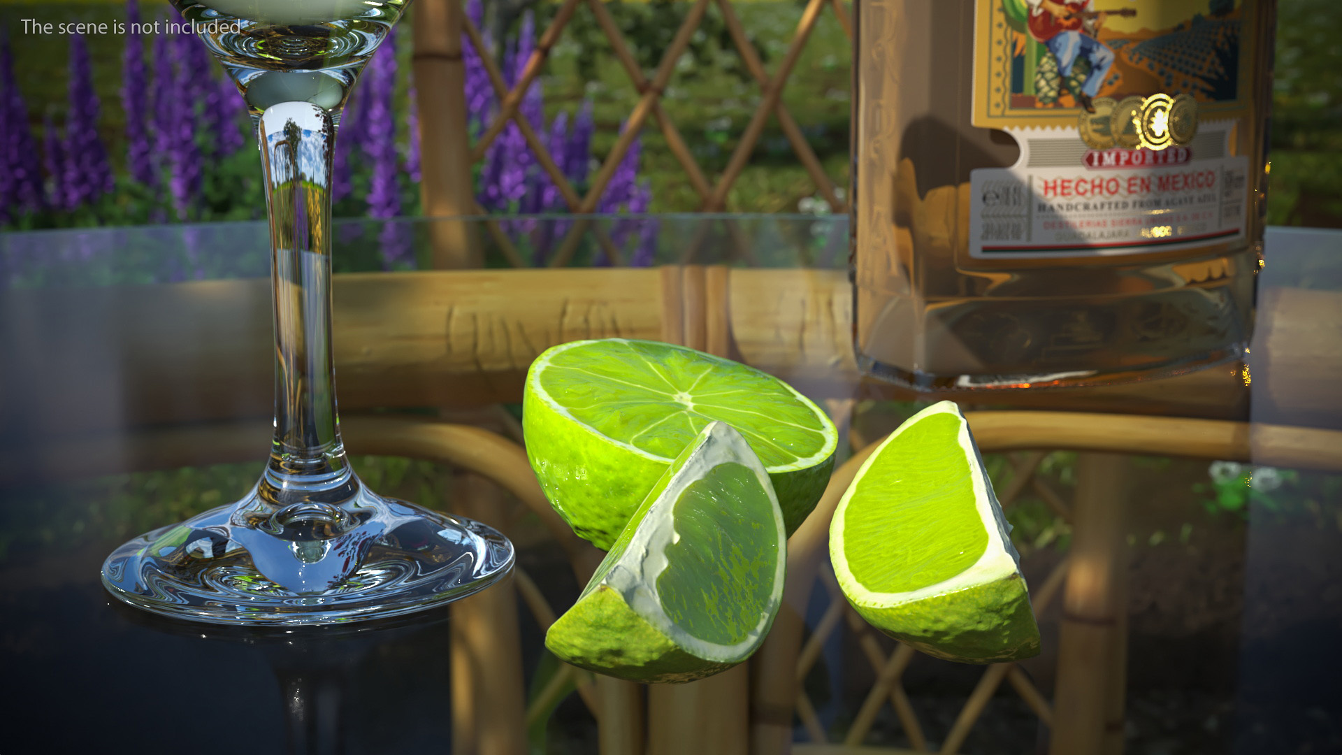 3D Margarita Cocktail Glass with Bottle