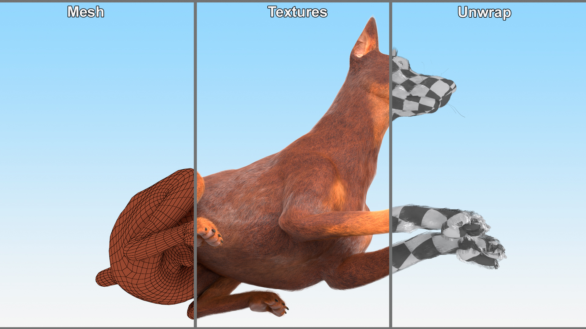 3D Doberman Dog Brown Lying Down Fur model