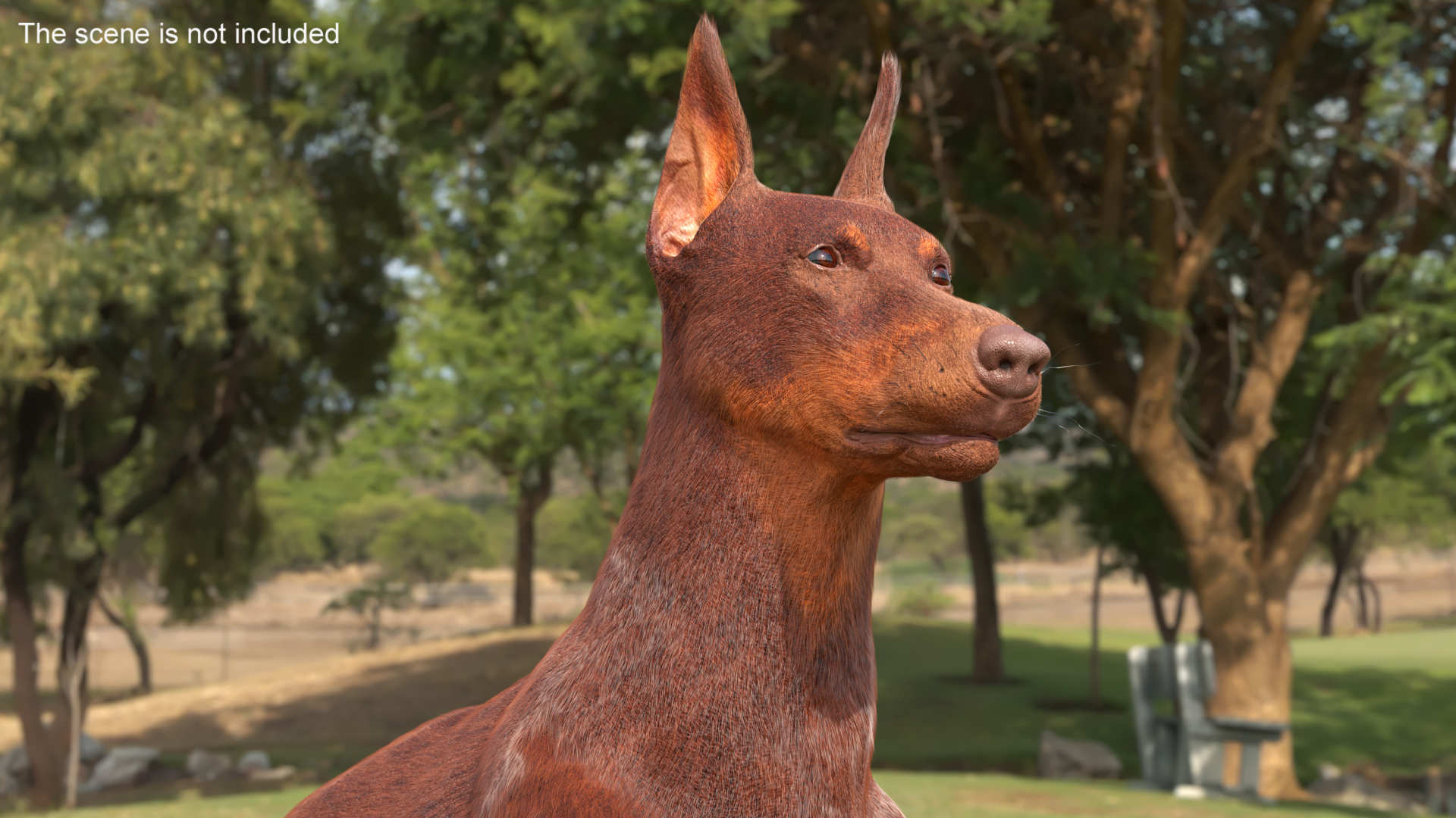 3D Doberman Dog Brown Lying Down Fur model