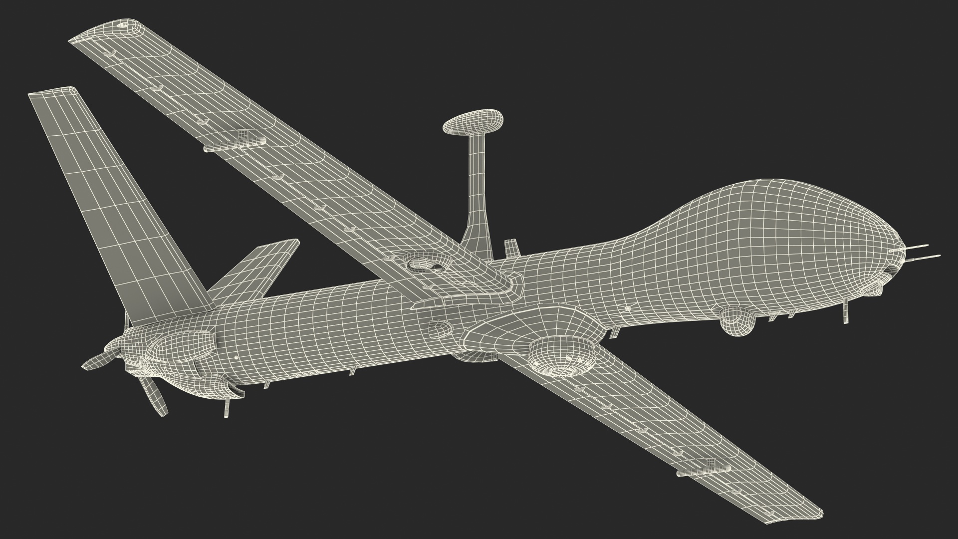 Elbit Hermes 900 UAV Flight 3D