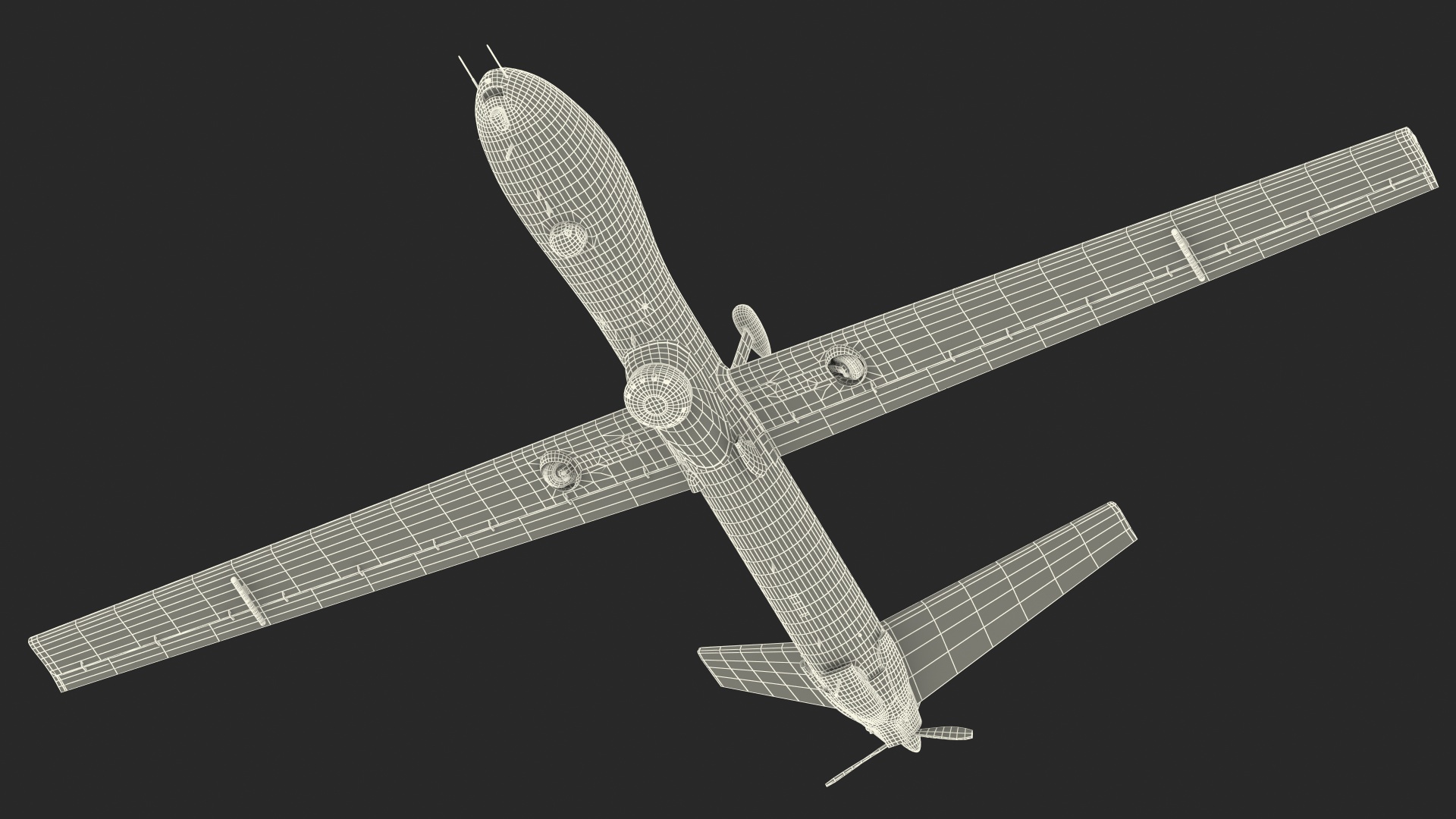 Elbit Hermes 900 UAV Flight 3D