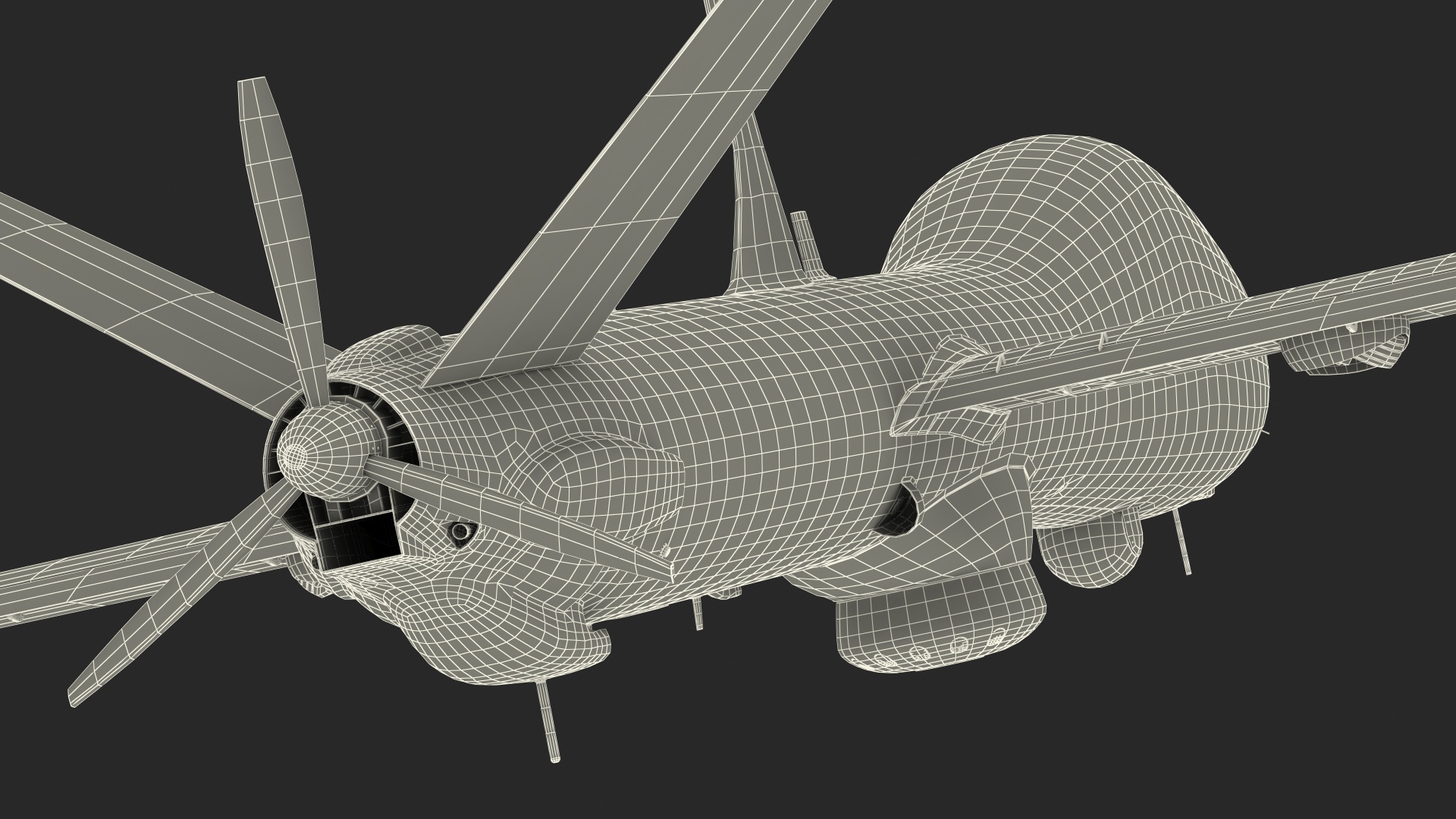 Elbit Hermes 900 UAV Flight 3D