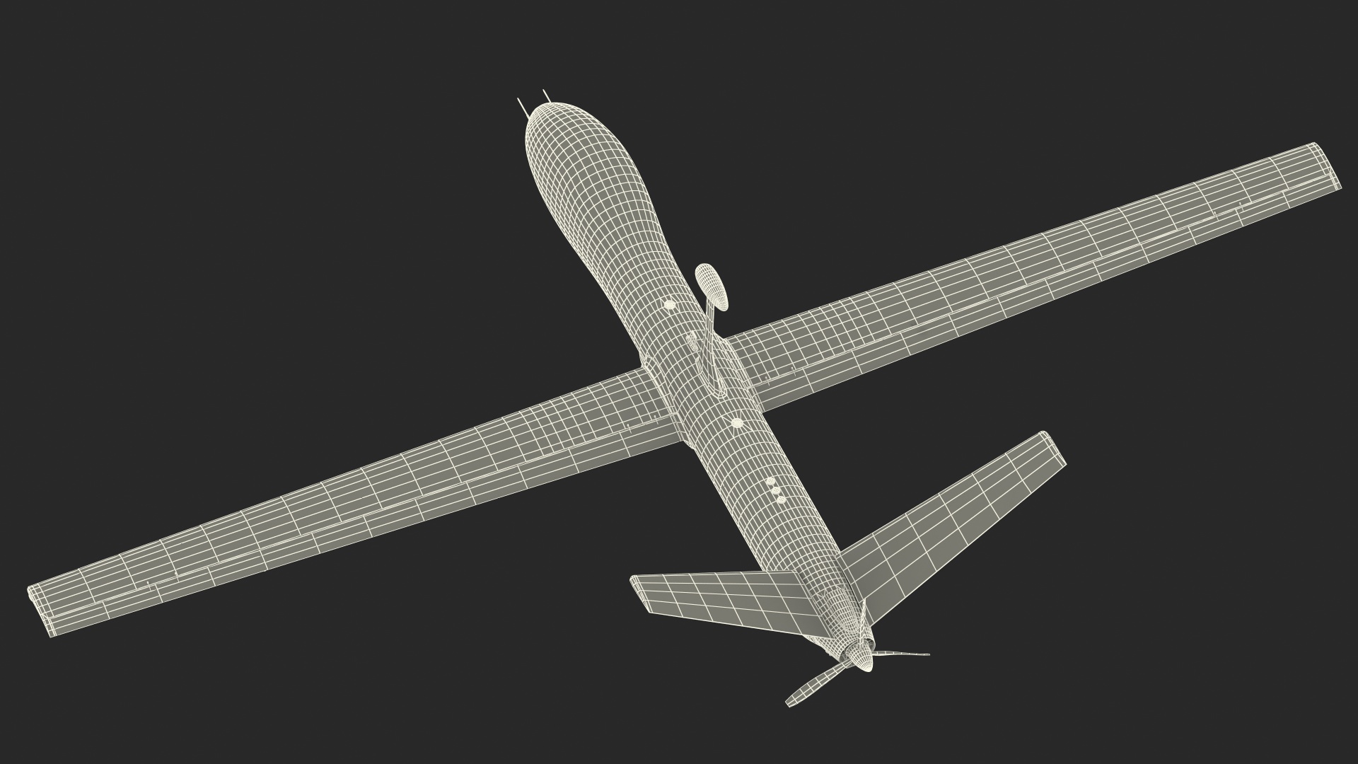 Elbit Hermes 900 UAV Flight 3D