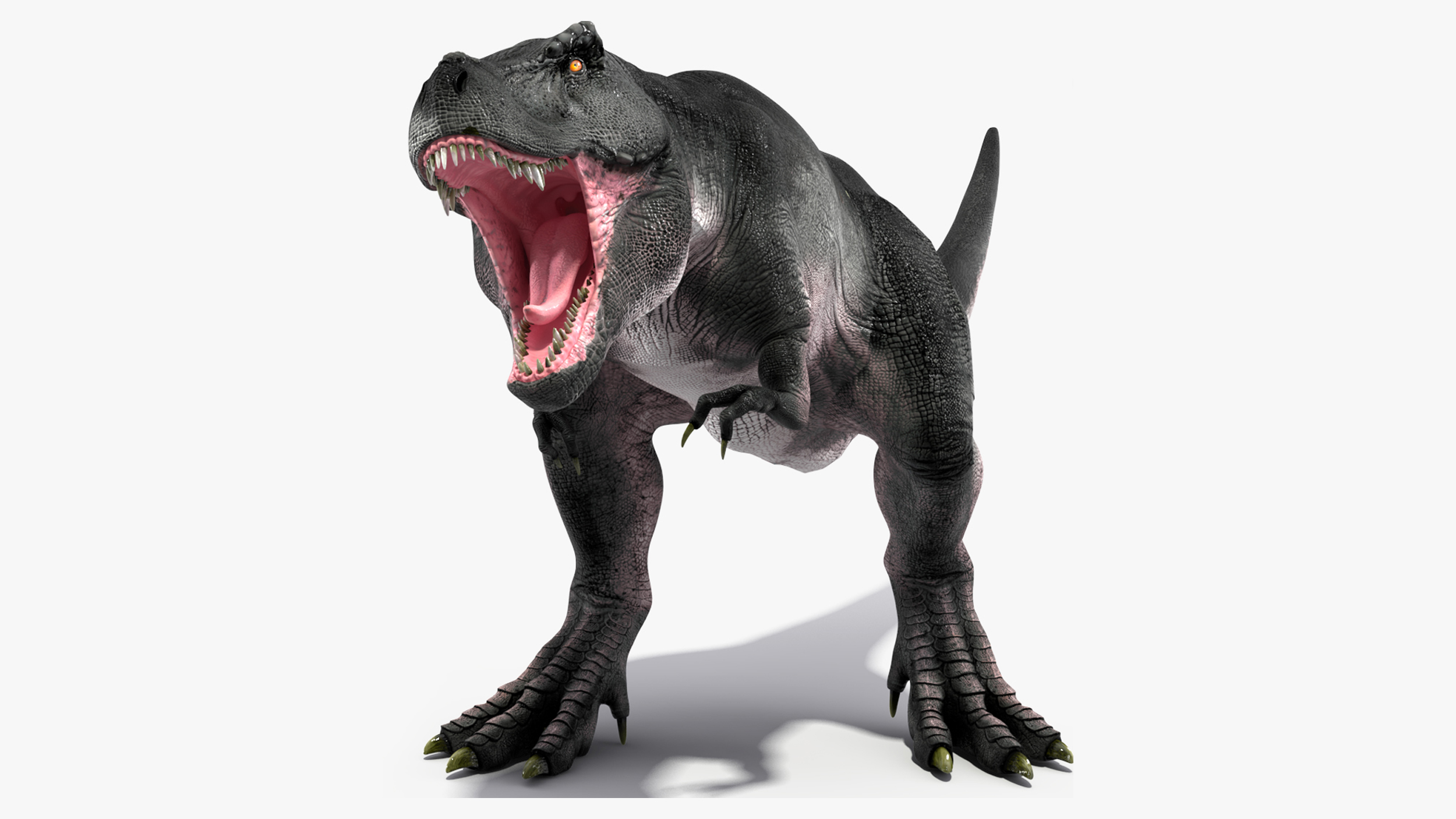 3D T Rex Roaring Animated Rigged for Cinema 4D model