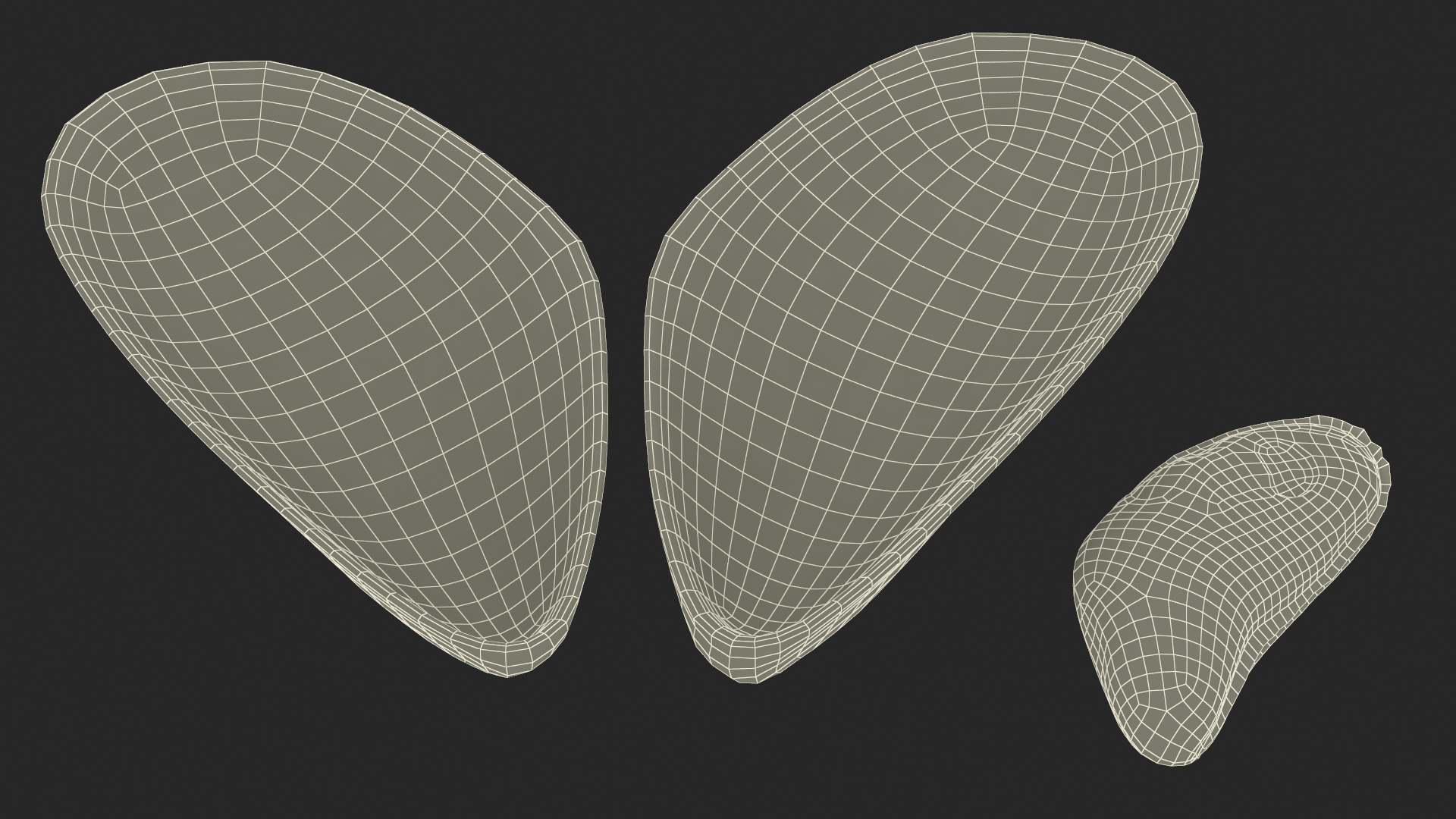 Boiled Sea Mussel 3D