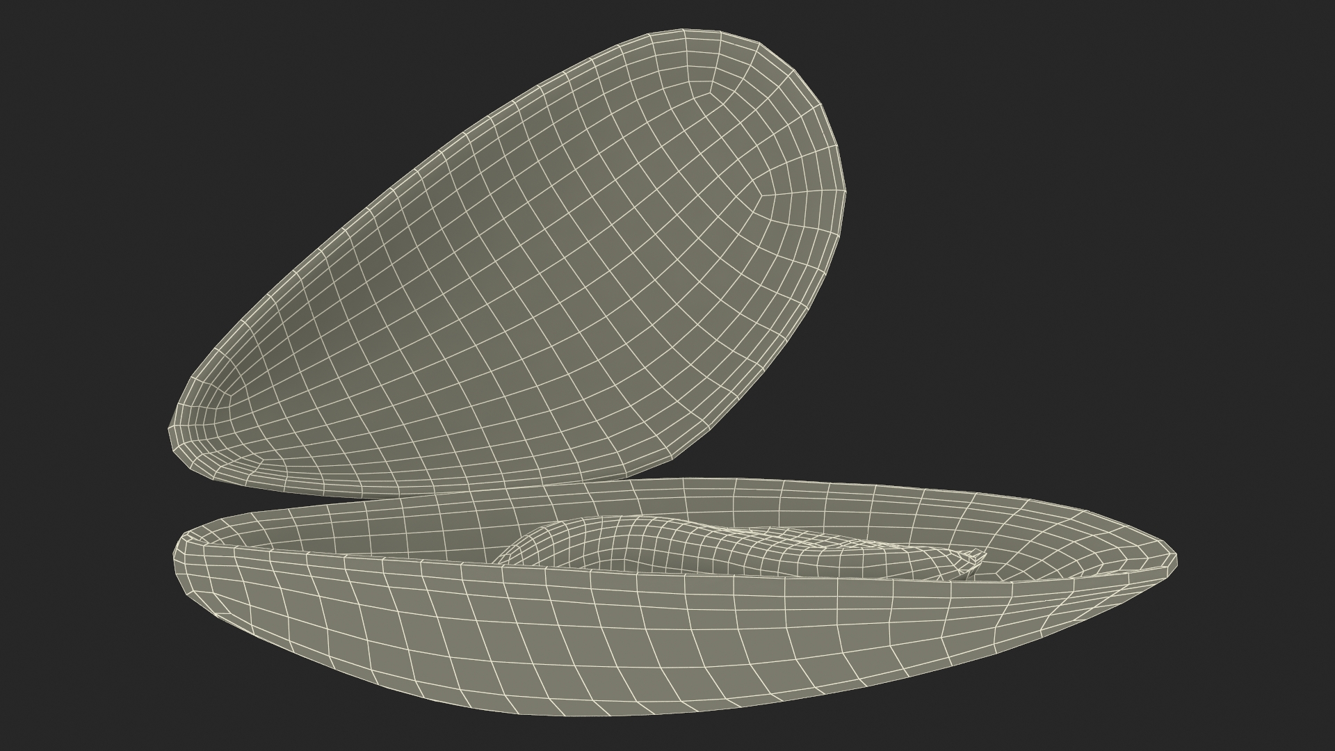 Boiled Sea Mussel 3D