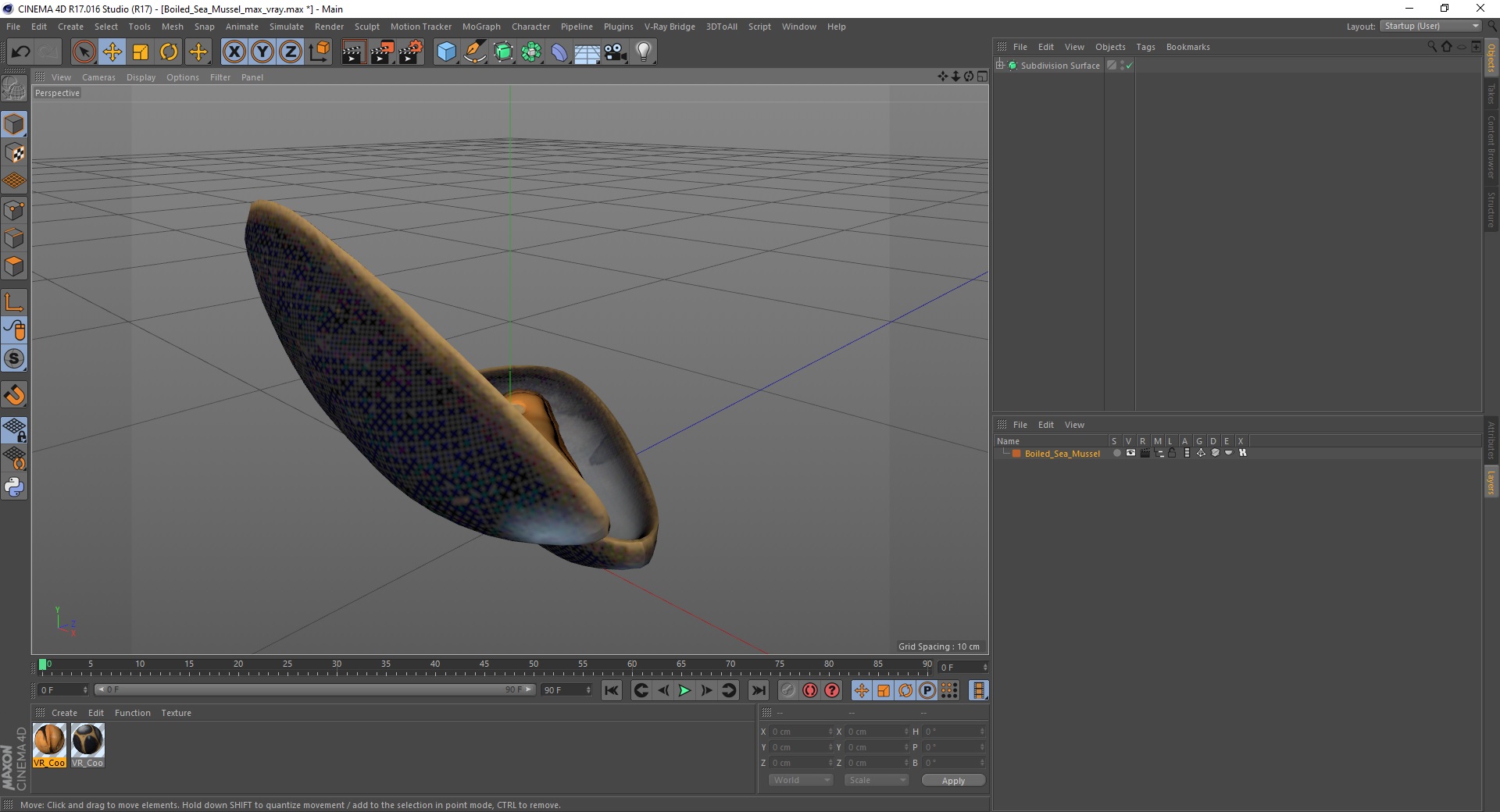 Boiled Sea Mussel 3D