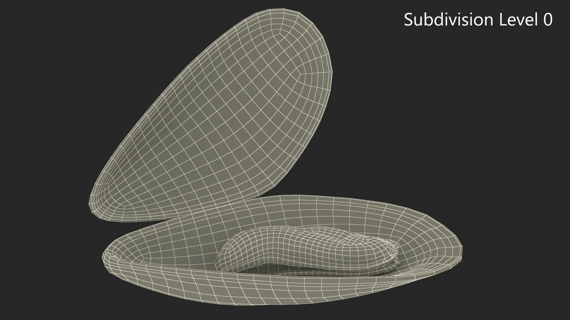 Boiled Sea Mussel 3D