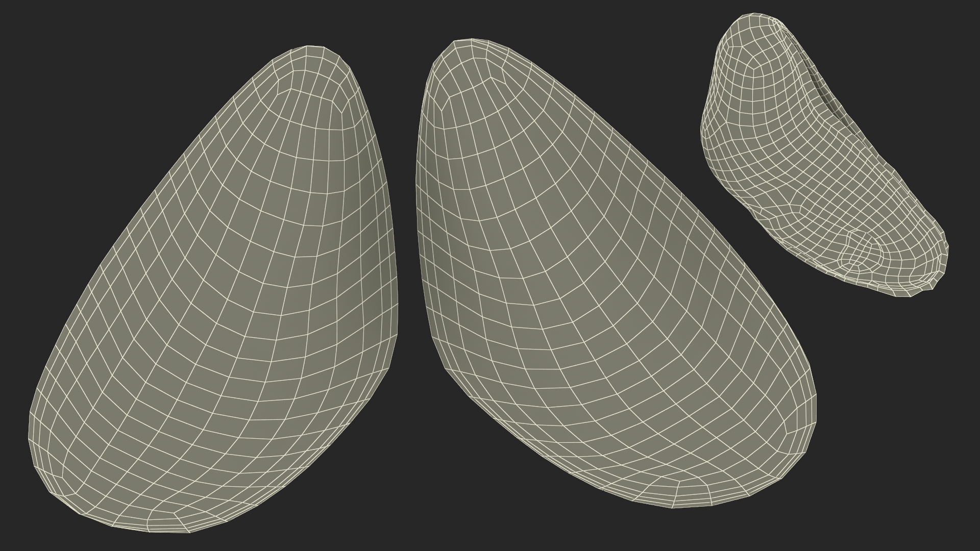 Boiled Sea Mussel 3D