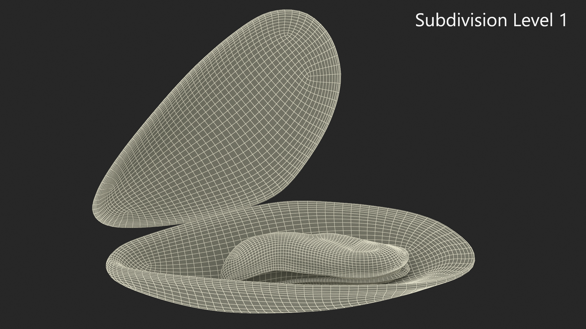 Boiled Sea Mussel 3D