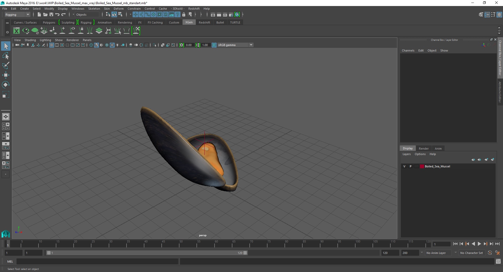 Boiled Sea Mussel 3D