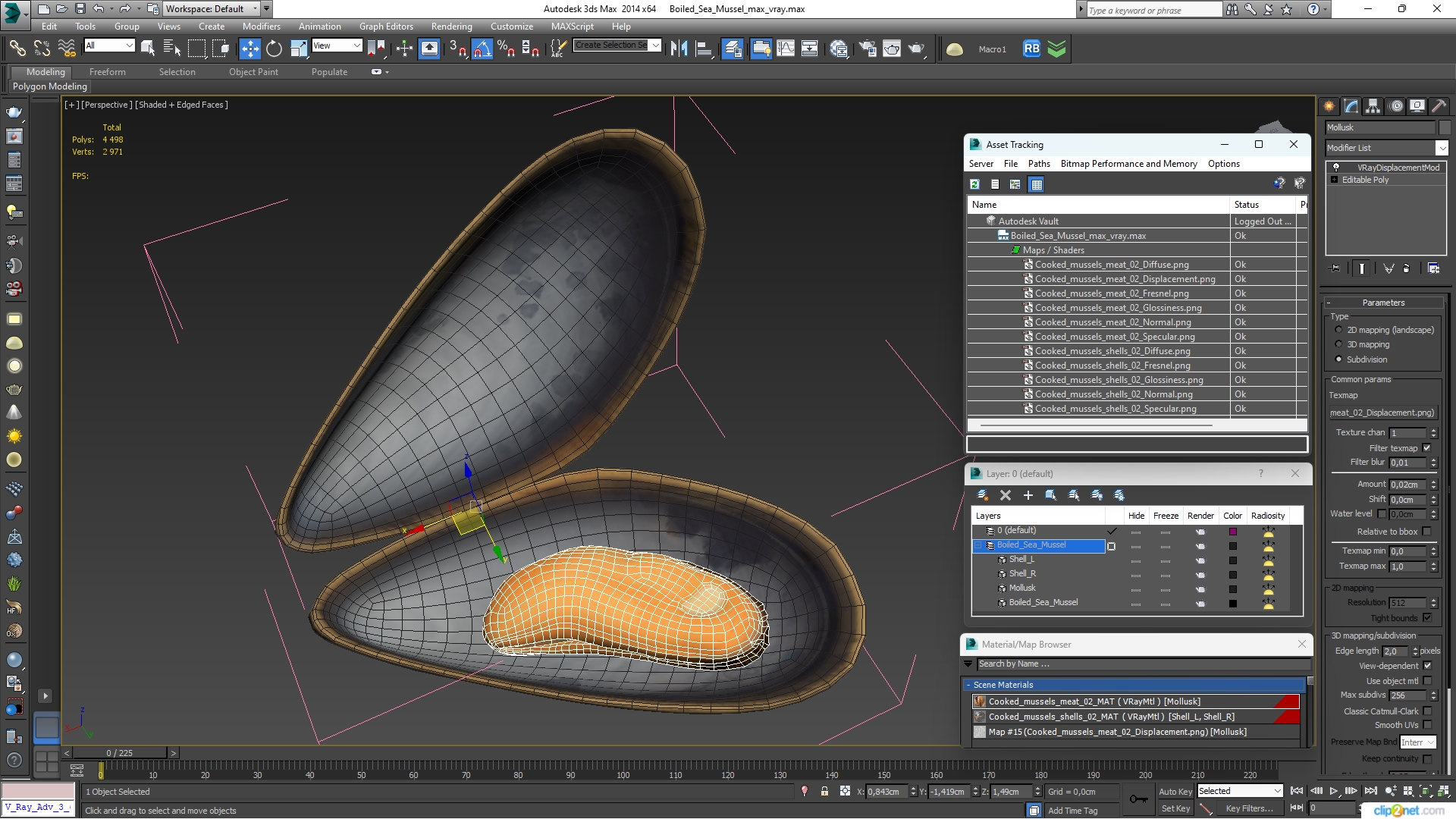 Boiled Sea Mussel 3D