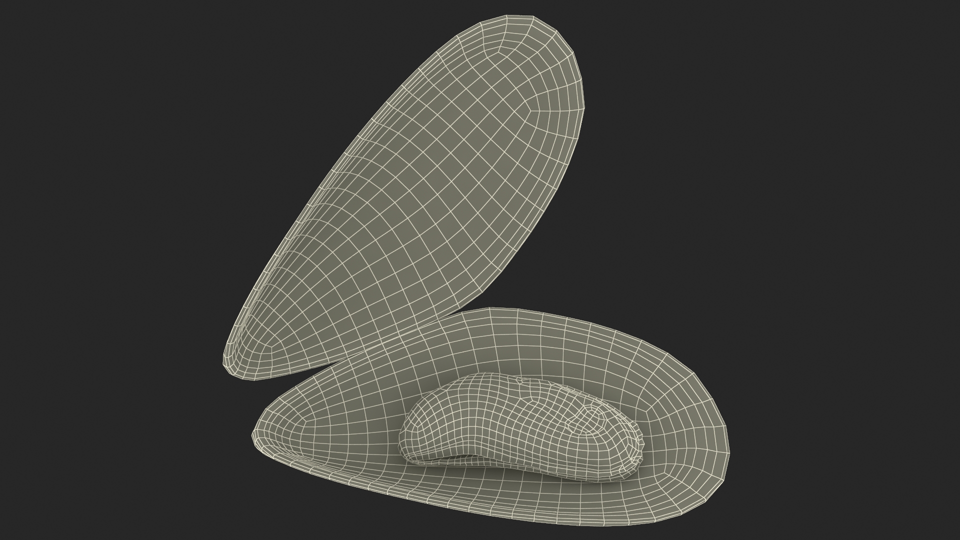 Boiled Sea Mussel 3D
