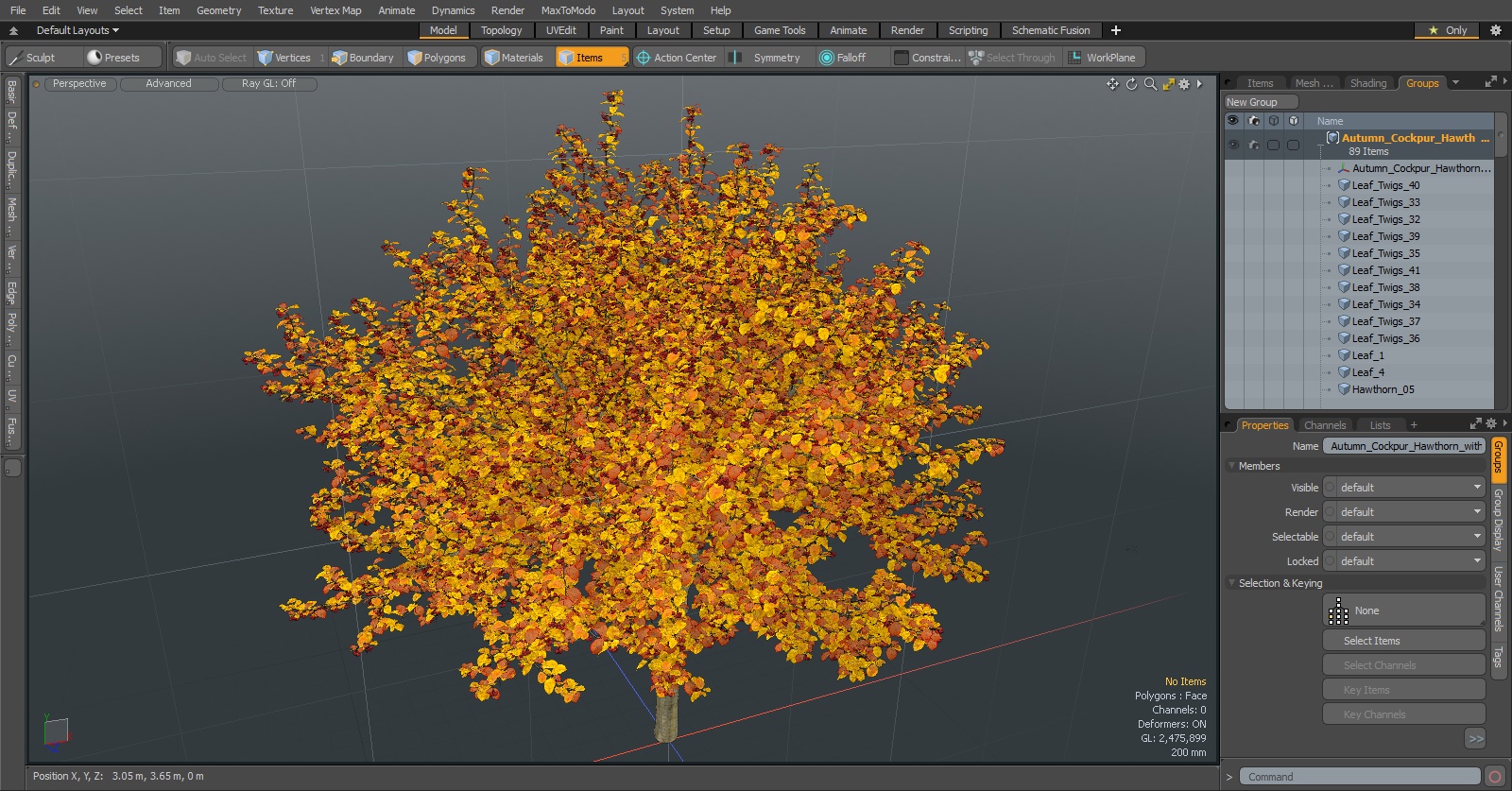 3D Autumn Cockpur Hawthorn with Berries