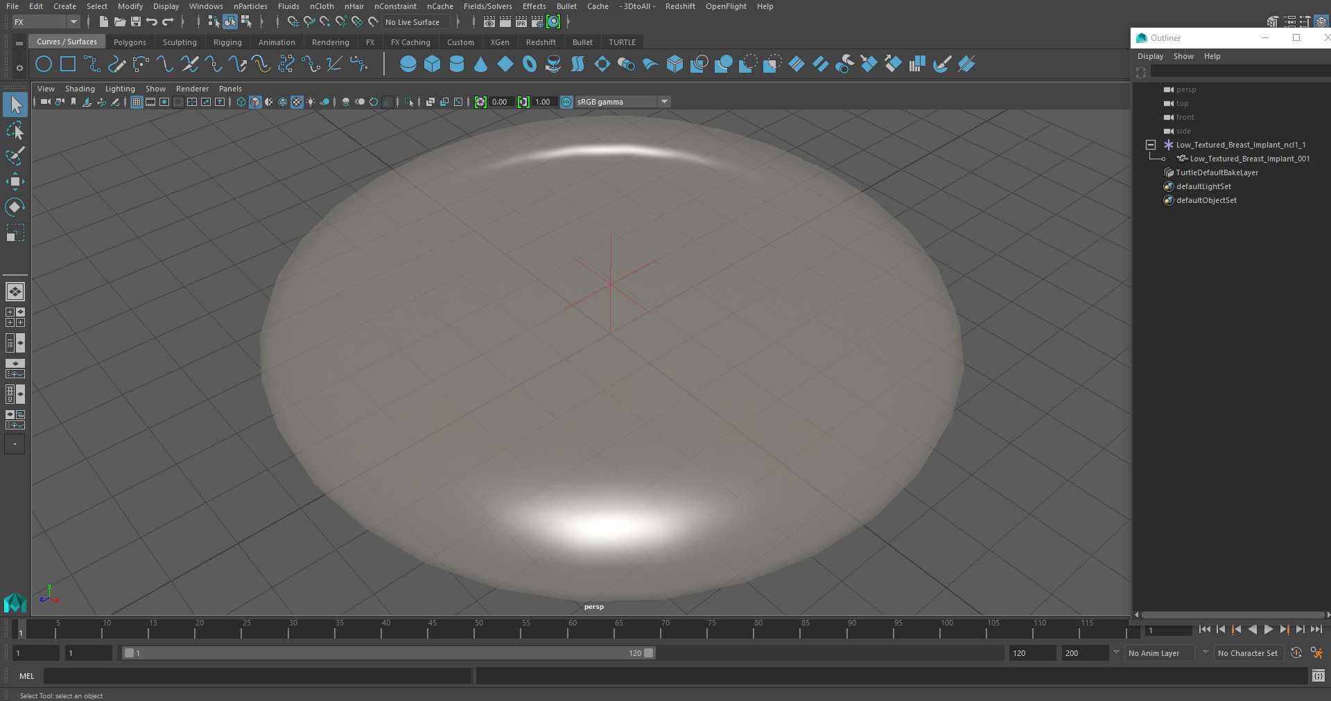 Low Textured Breast Implant 3D