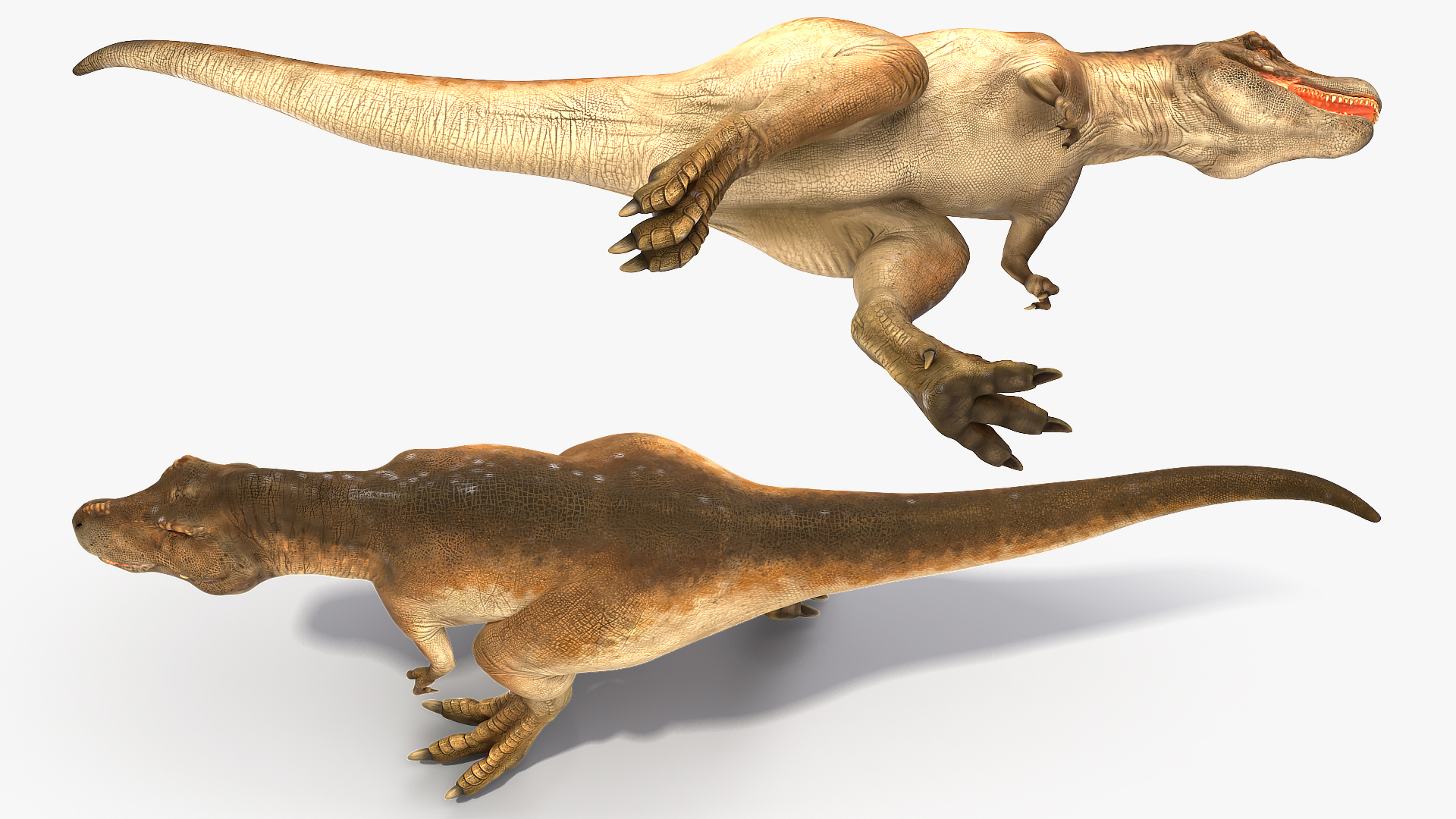 3D Animated Tyrannosaurus Rex Running Rigged