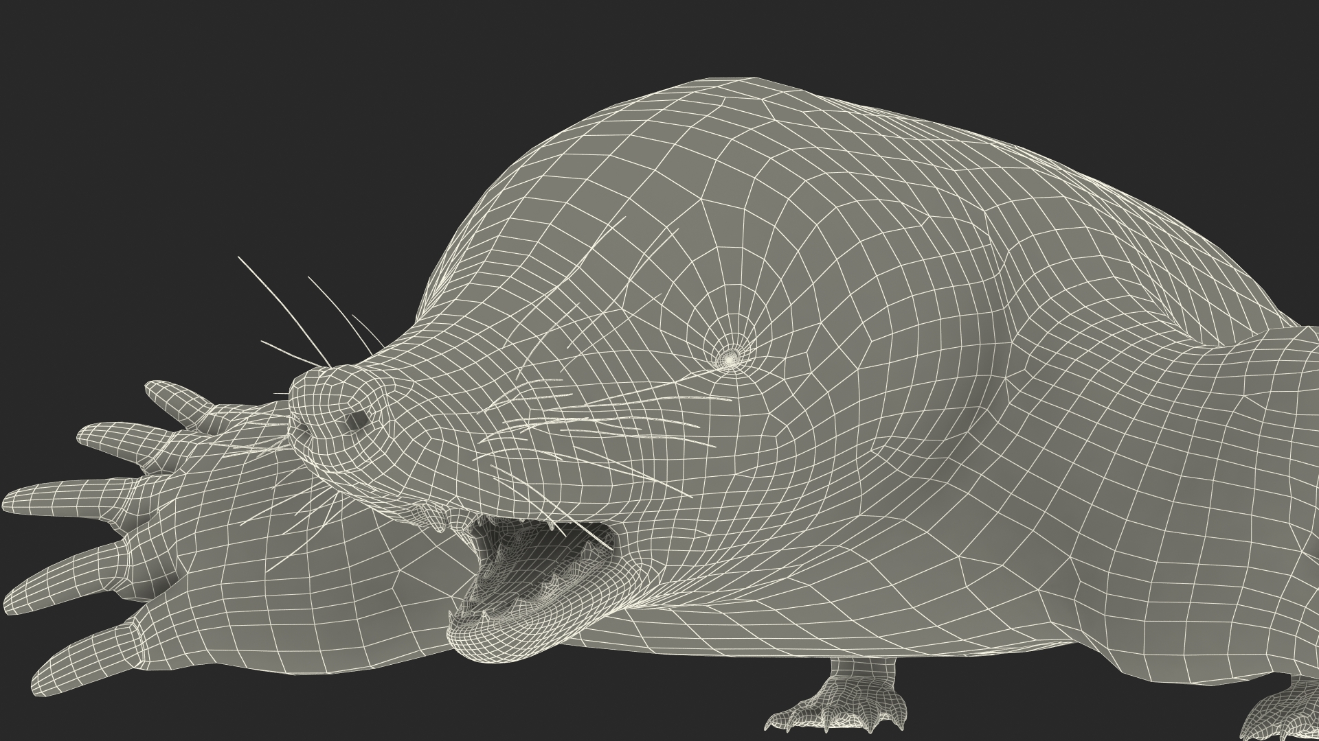 3D Talpa Europaea Fur model