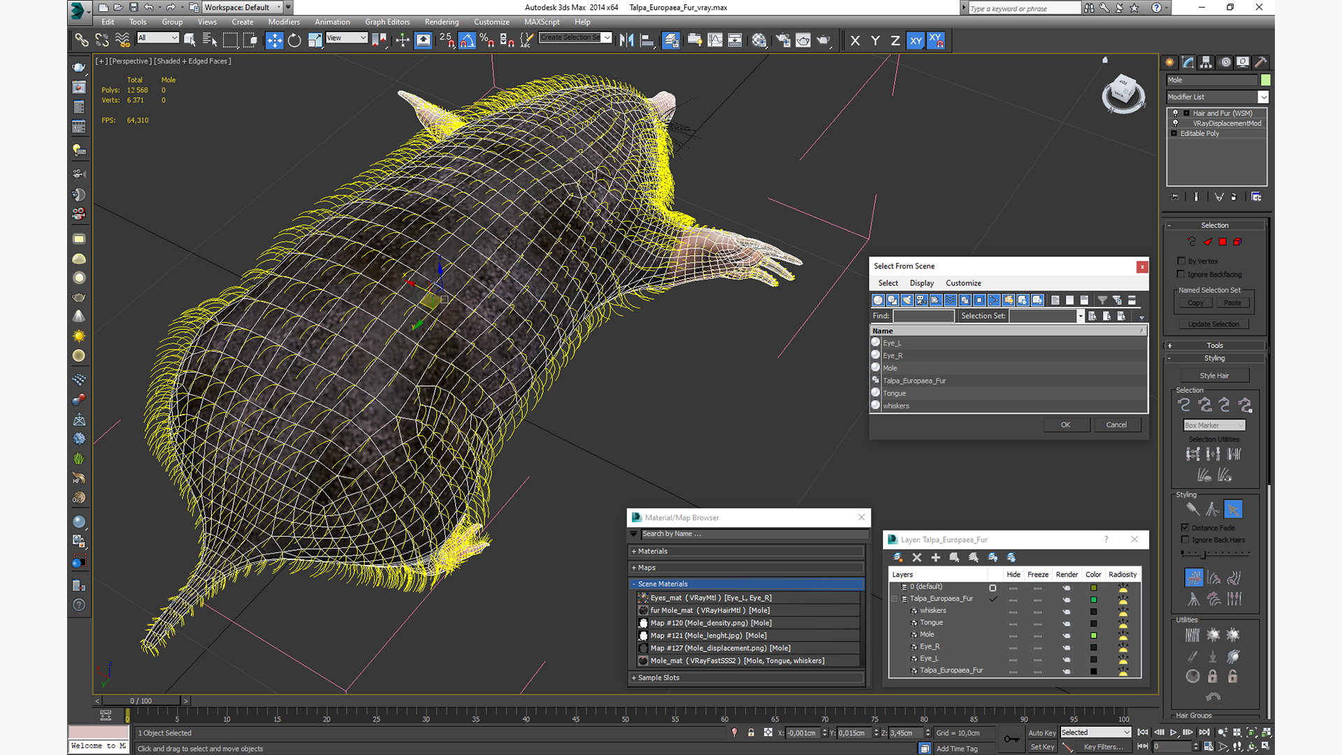 3D Talpa Europaea Fur model