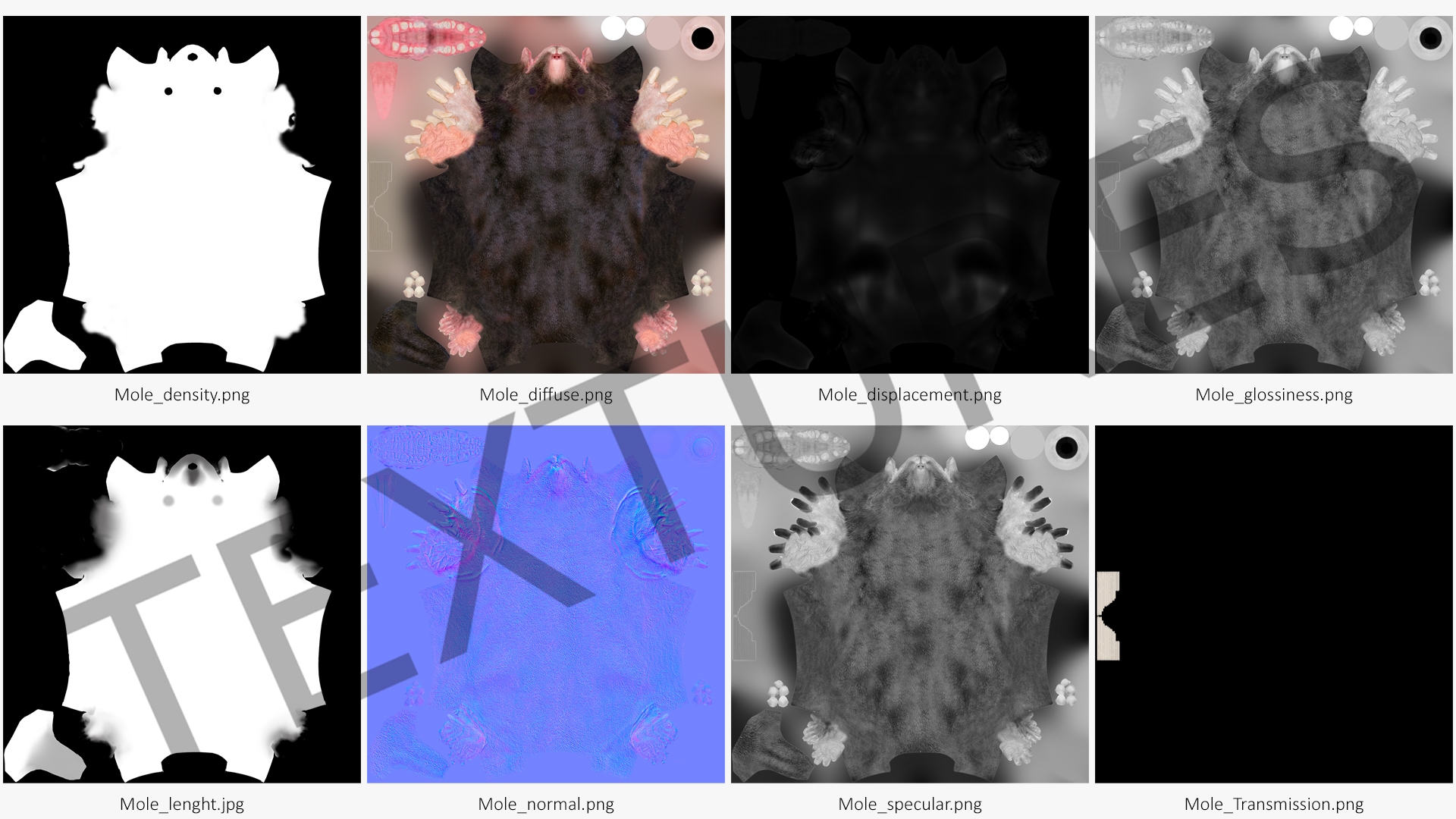 3D Talpa Europaea Fur model