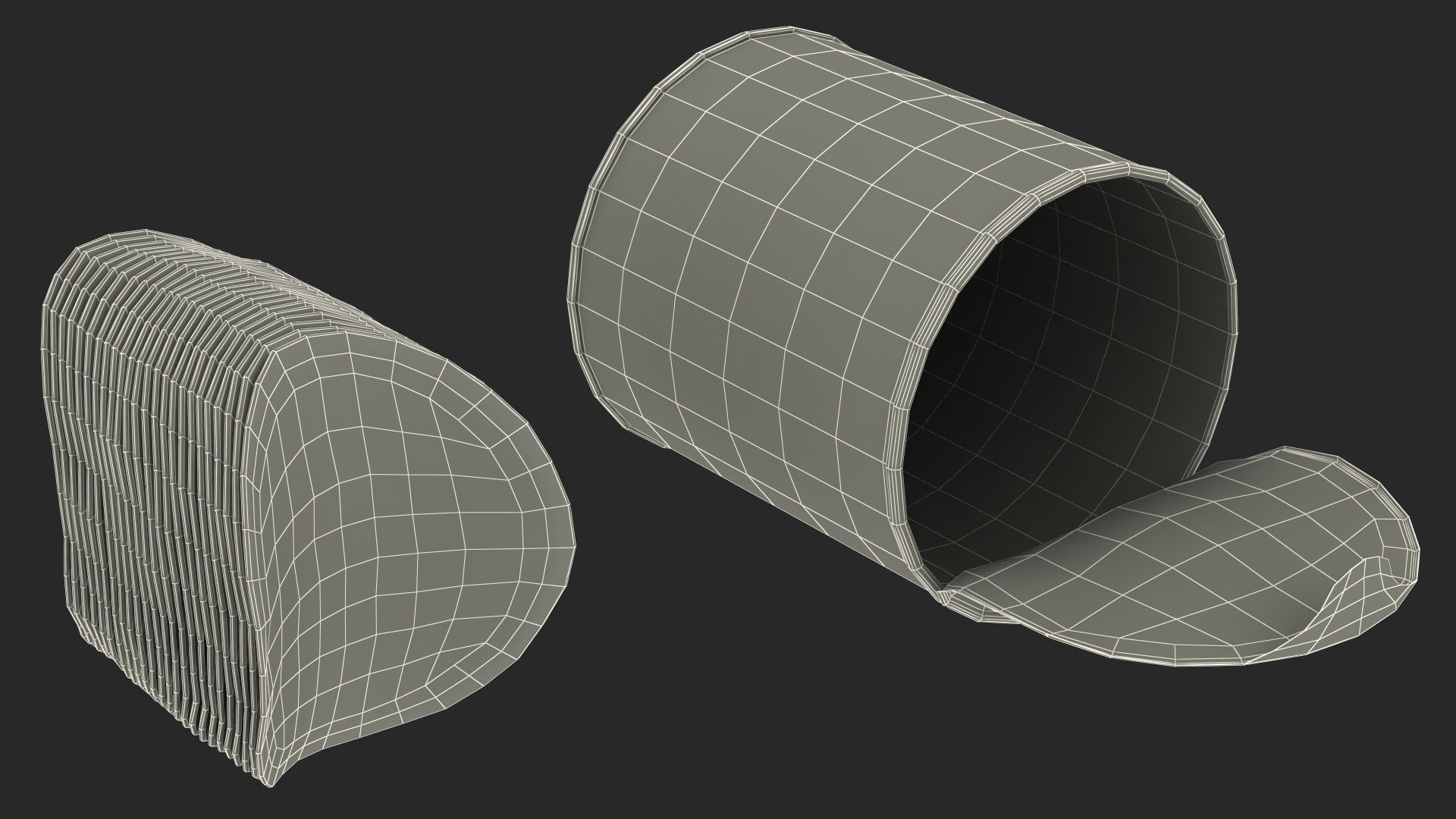 3D Small Open Tube of Potato Chips