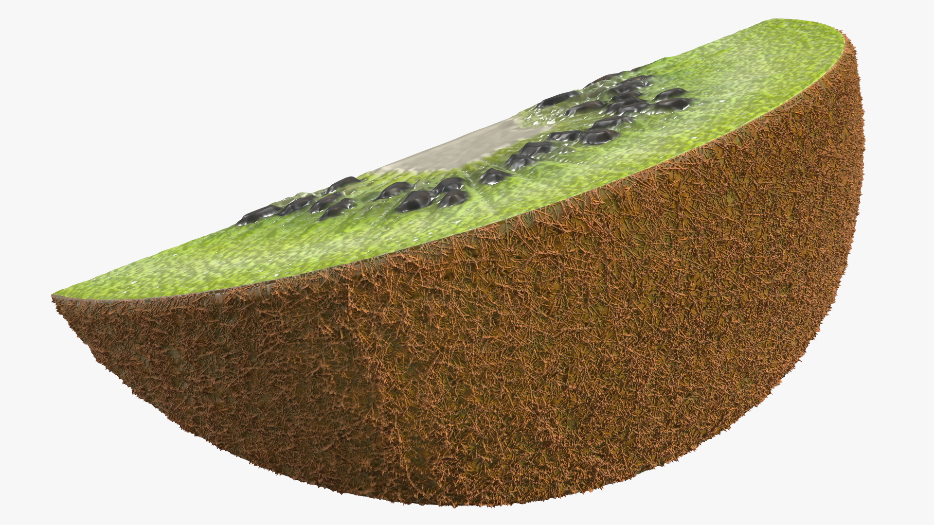 3D Sliced Kiwi Half