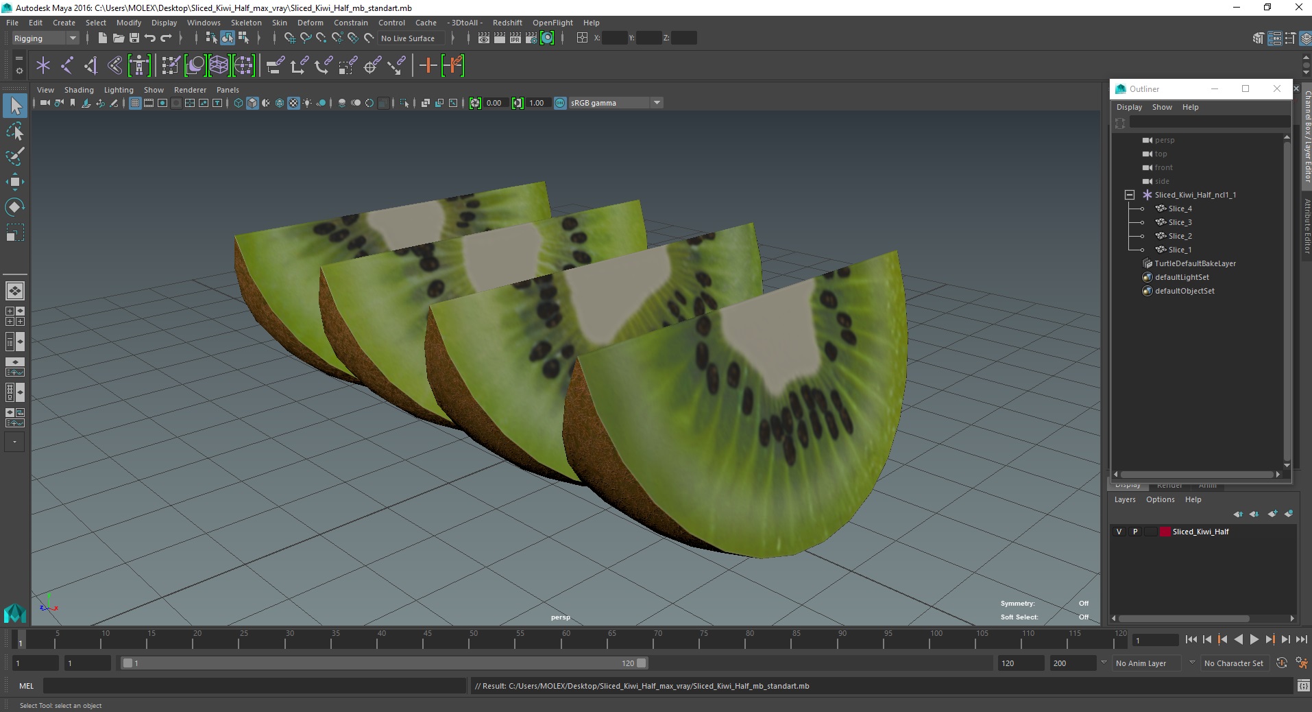 3D Sliced Kiwi Half