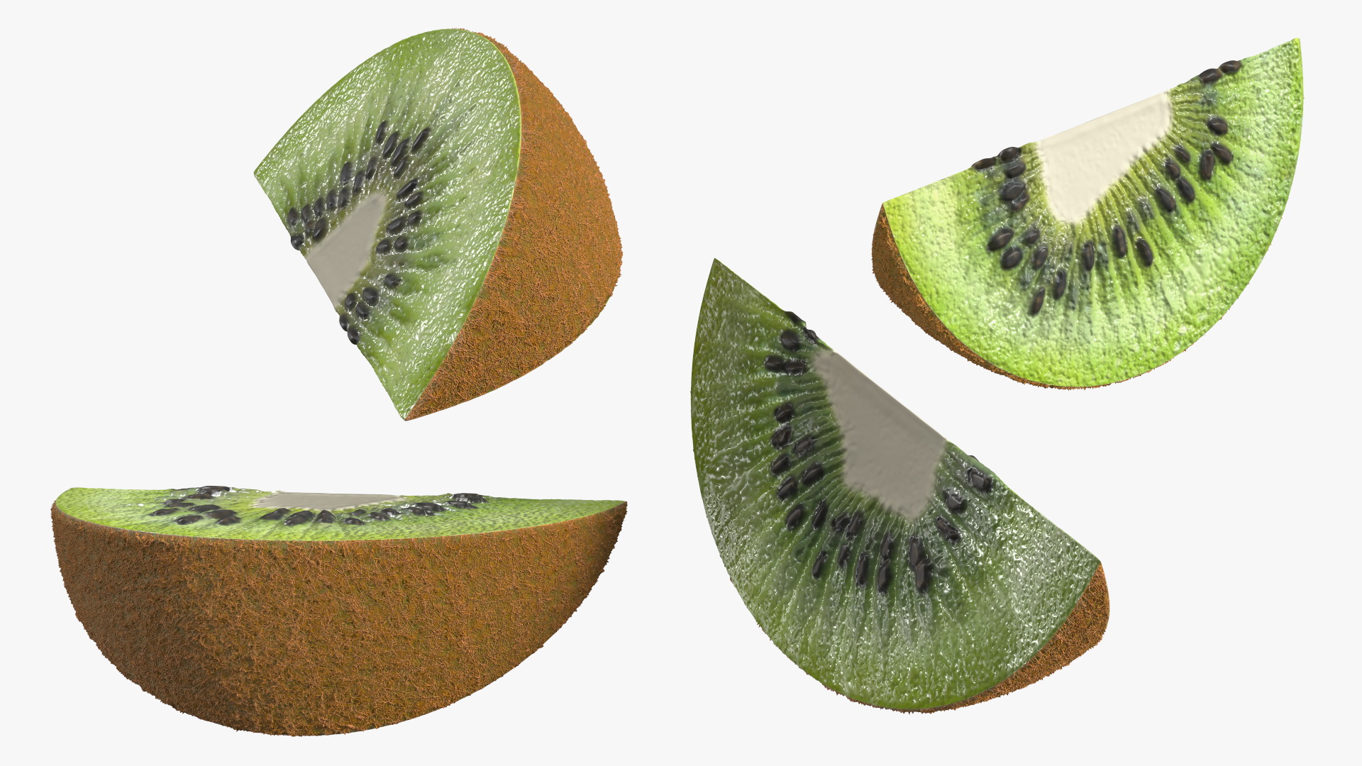 3D Sliced Kiwi Half